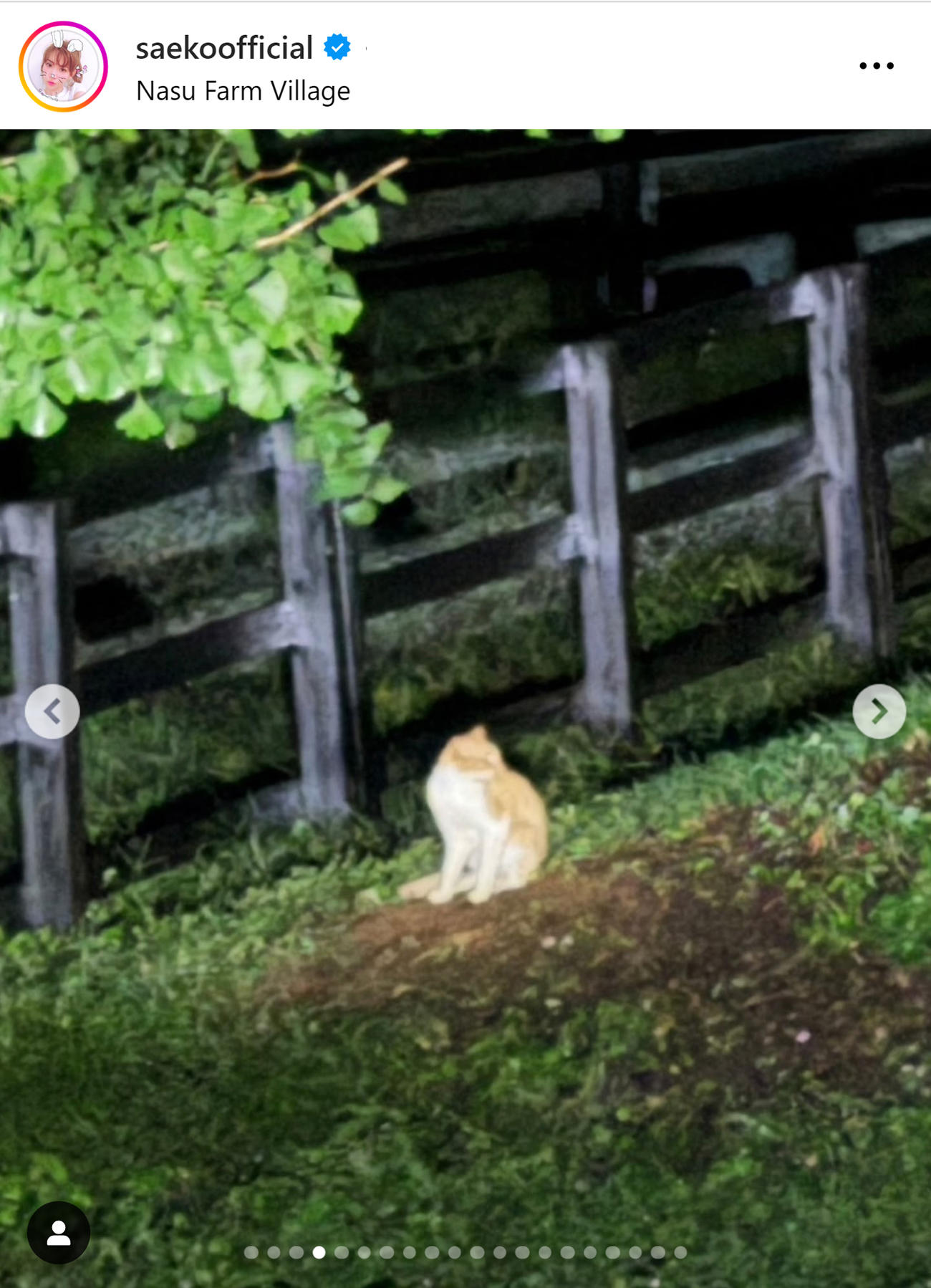 紗栄子のインスタグラムから