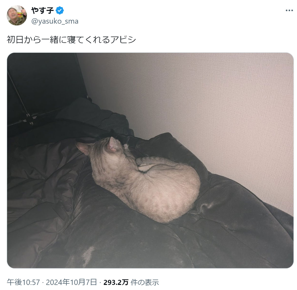 やす子のXから
