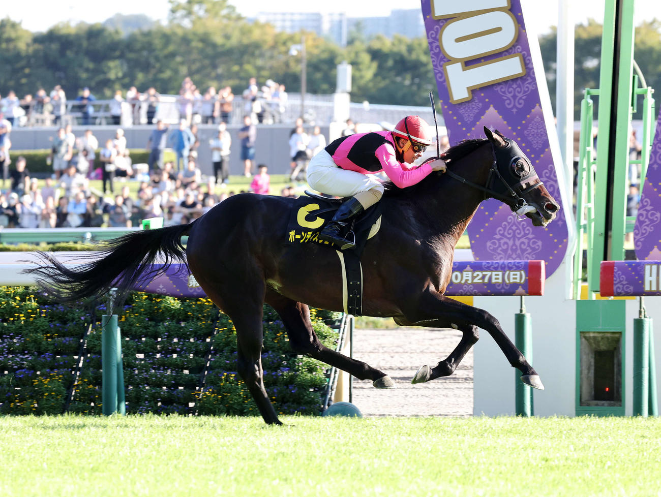 オクトーバーSを制したボーンディスウェイと木幡巧也騎手（撮影・鈴木正人）