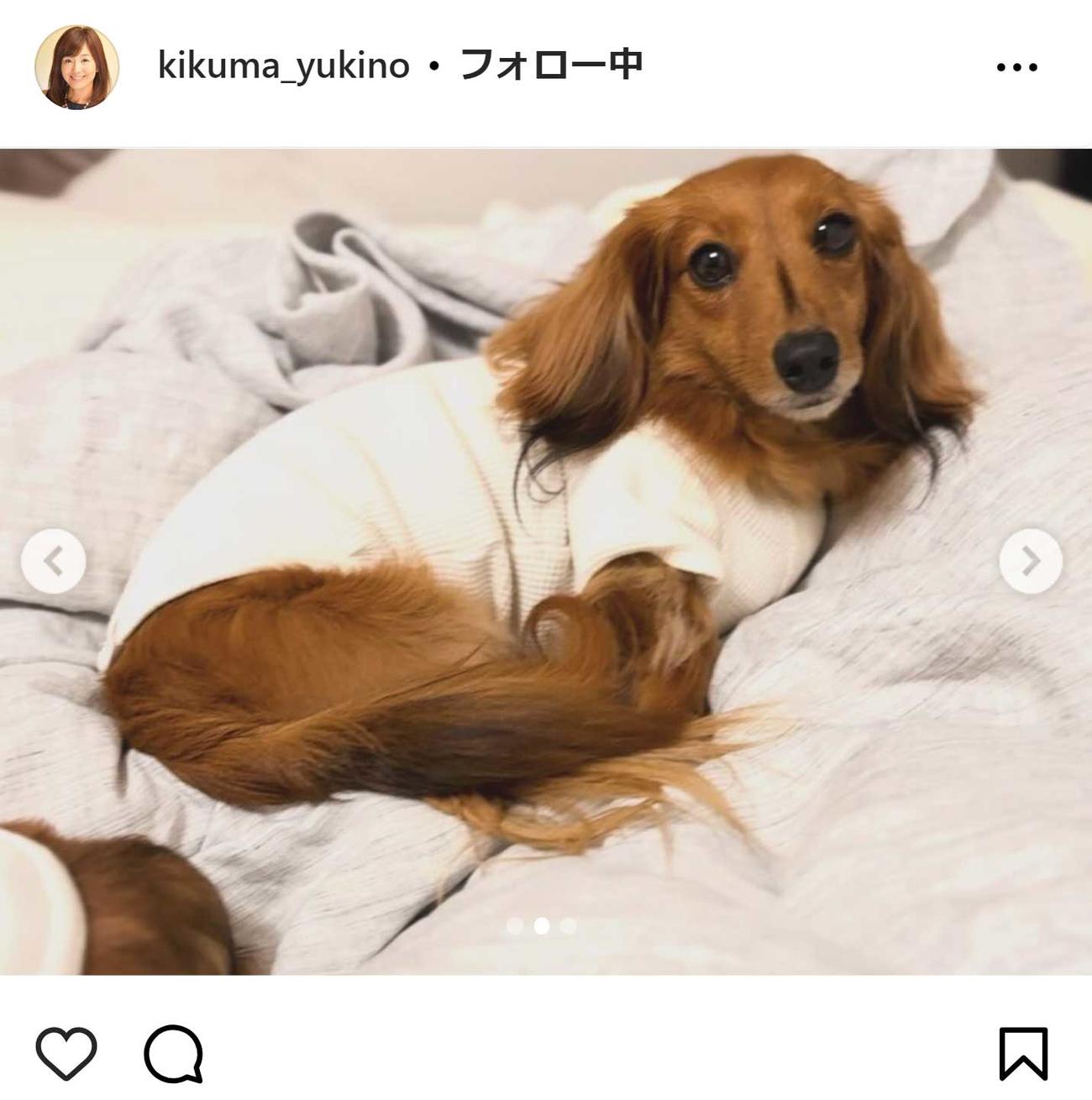菊間千乃氏のインスタグラムから