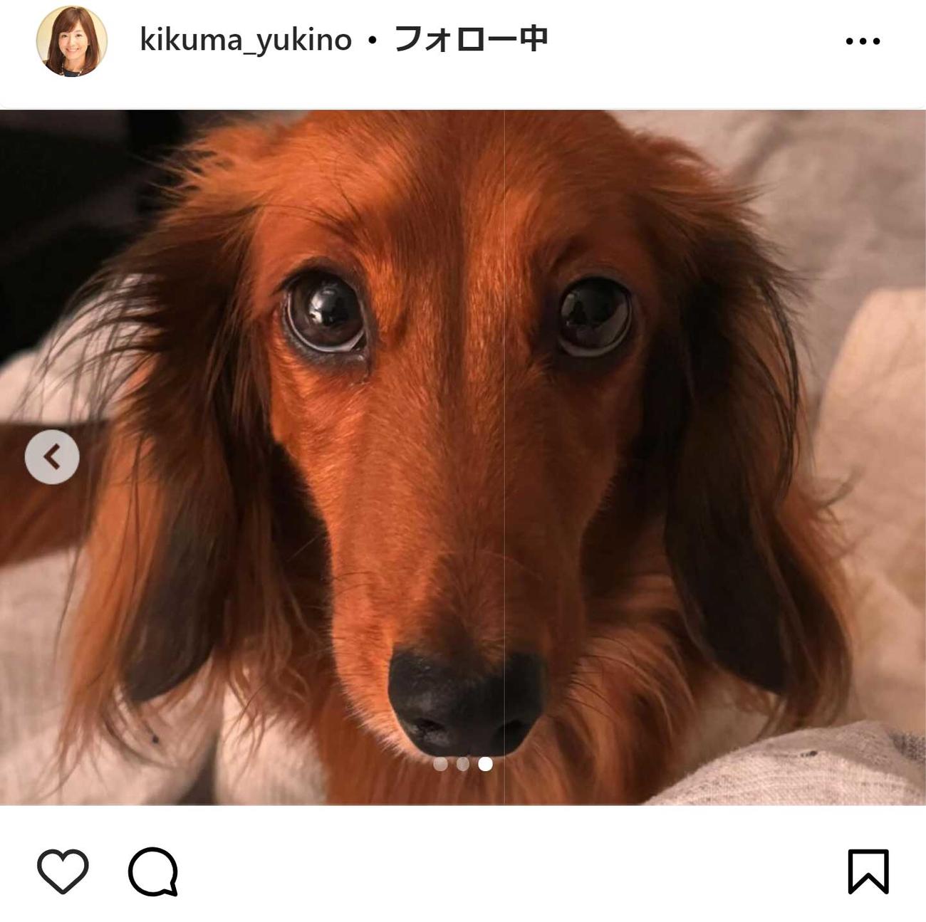 菊間千乃氏のインスタグラムから