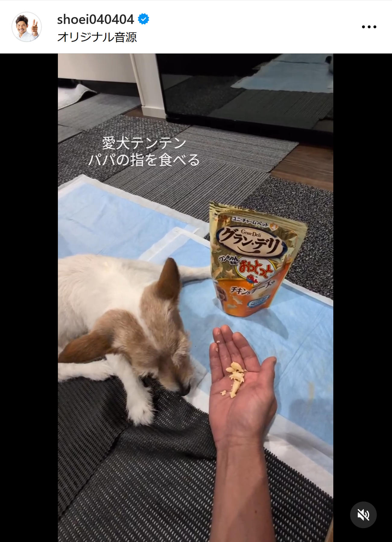 照英のインスタグラムから