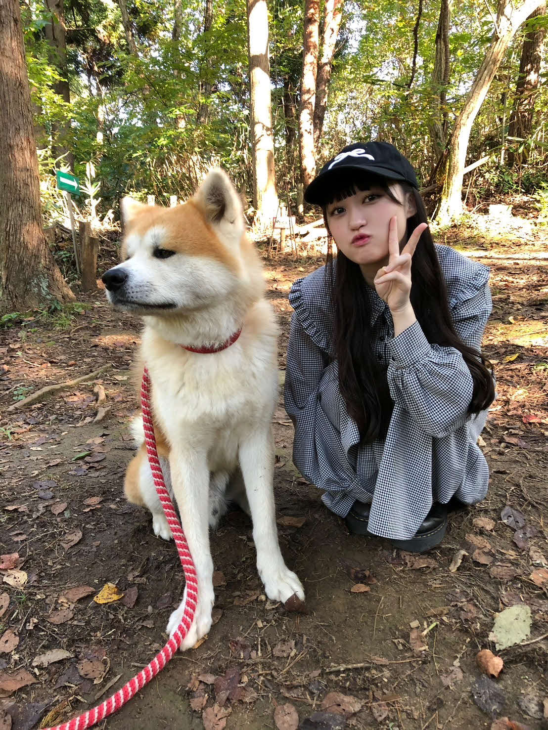 橘花怜