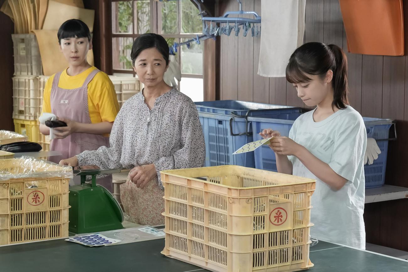 NHK連続テレビ小説「おむすび」の1場面（C）NHK