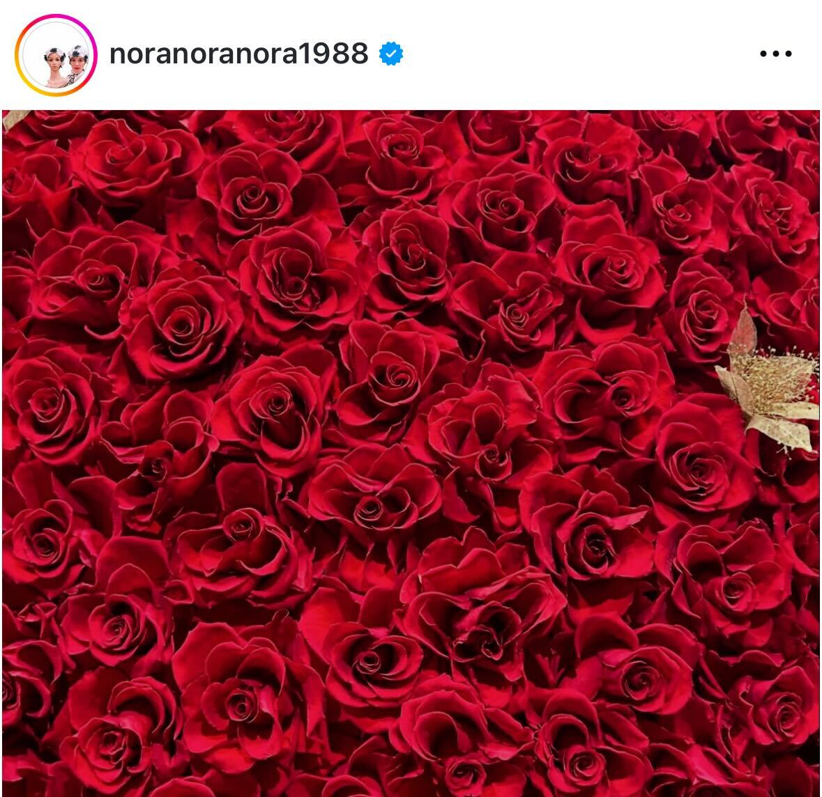 平野ノラのインスタグラムから