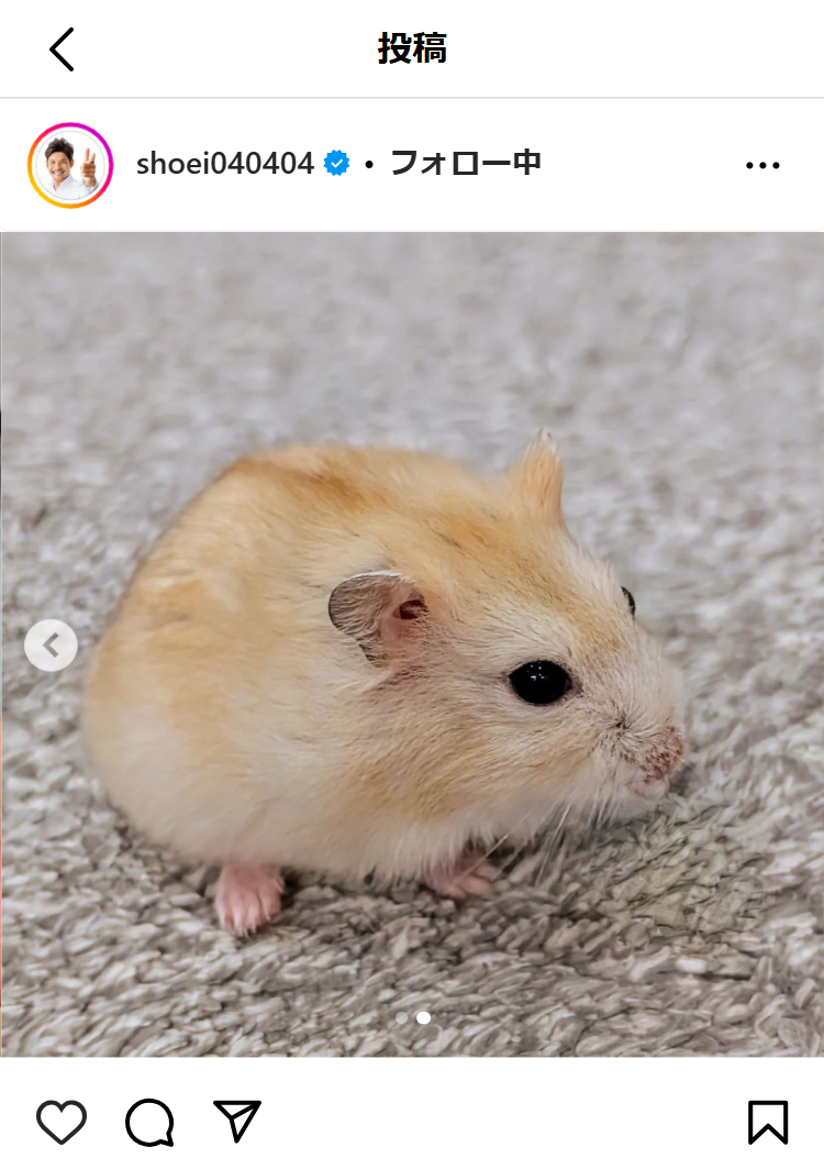 照英のインスタグラムから