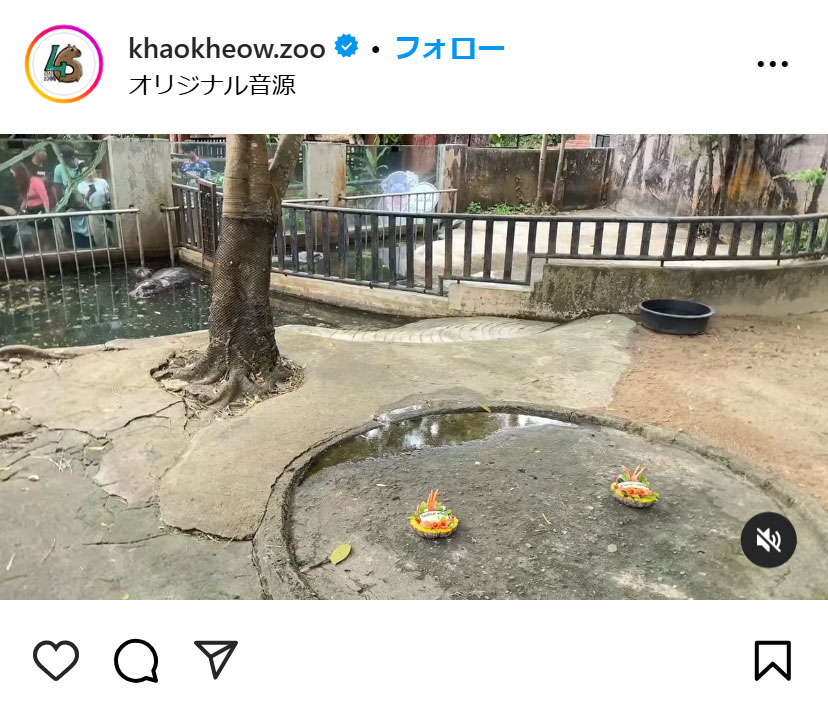 カオキヨウ開放型動物園のインスタグラムから