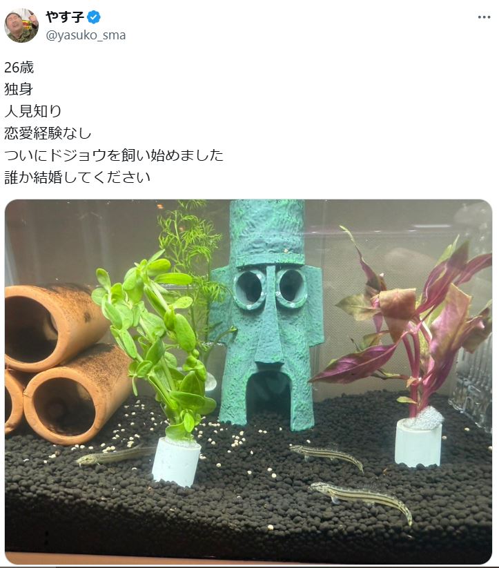 やす子のXから