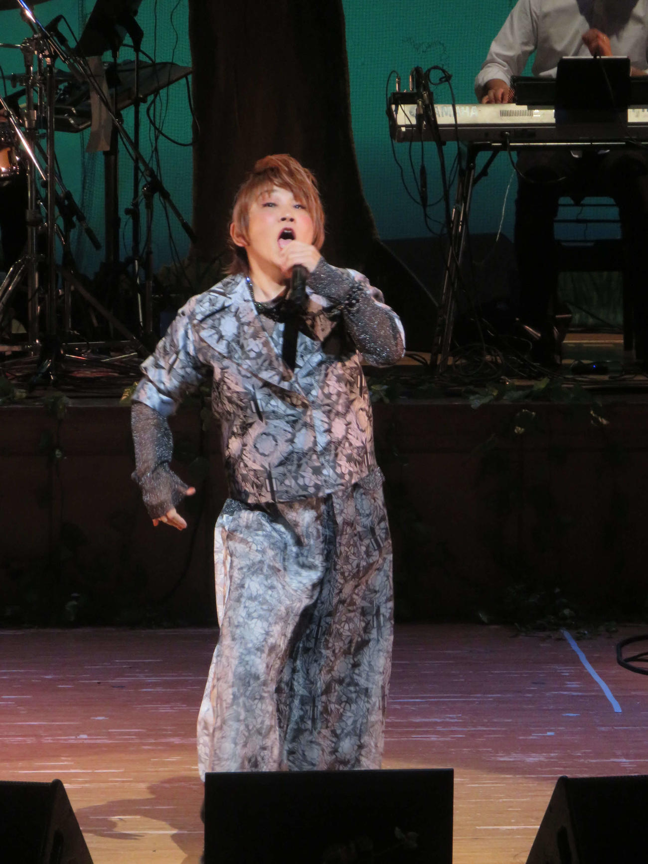 アニソン文化祭に参加した松本梨香