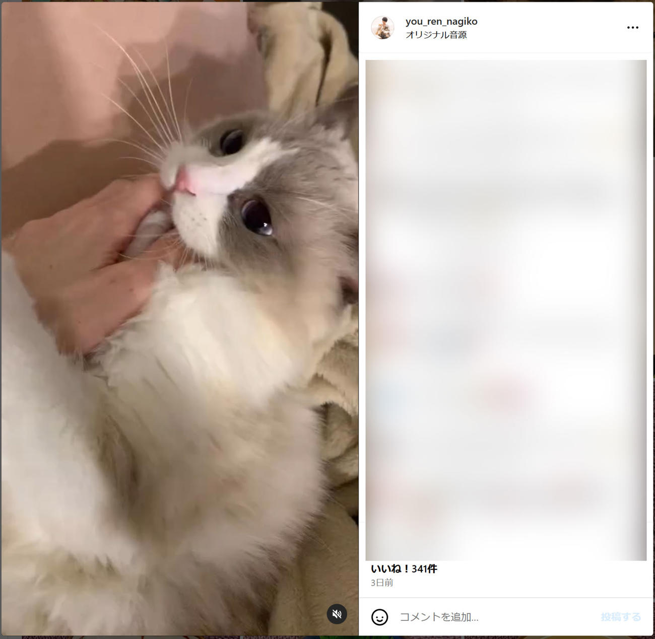 21日の遠野なぎこのインスタグラムから