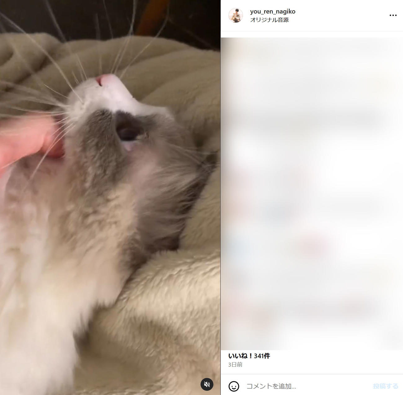 21日の遠野なぎこのインスタグラムから
