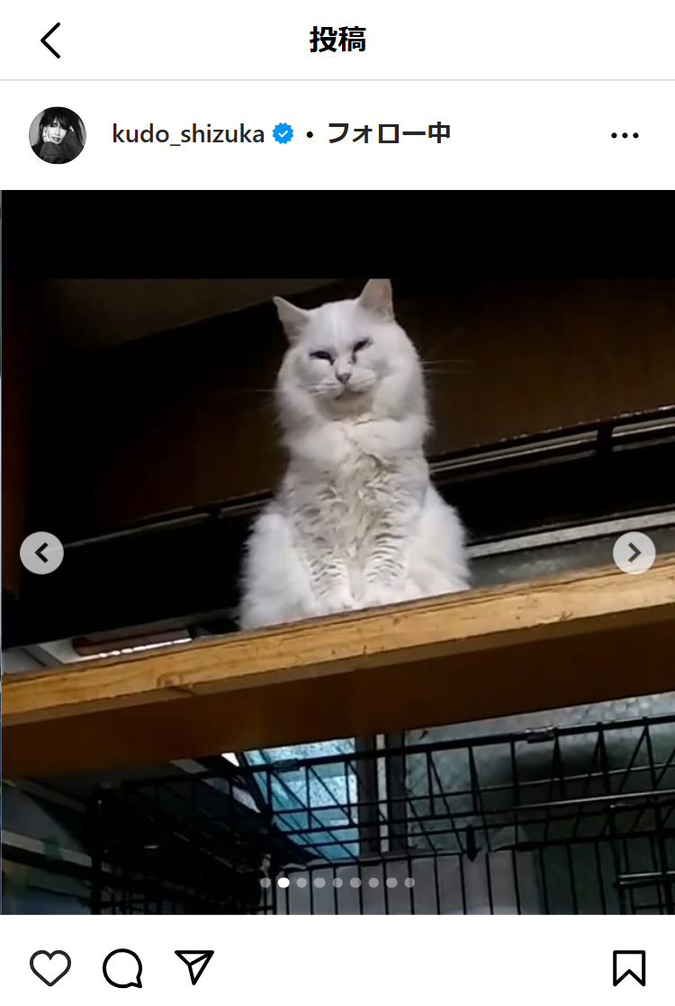 工藤静香のインスタグラムから