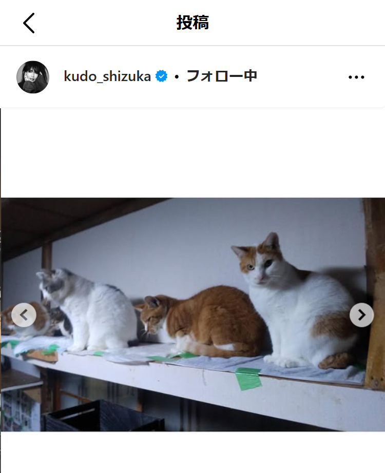 工藤静香のインスタグラムから