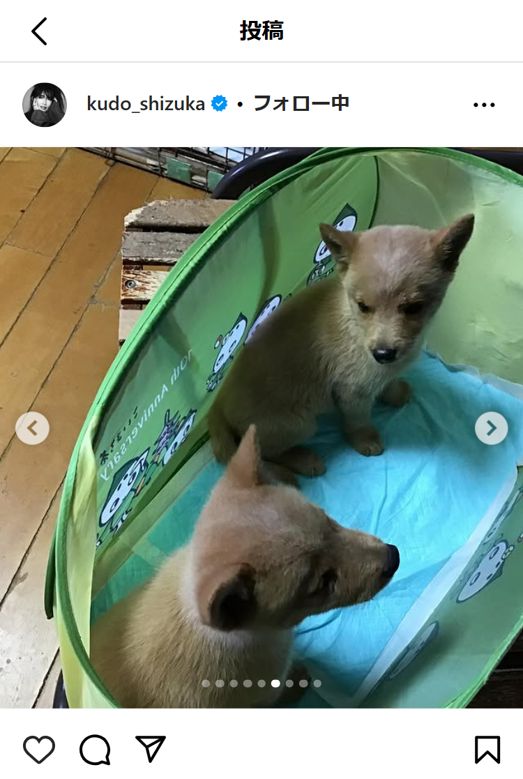 工藤静香のインスタグラムから