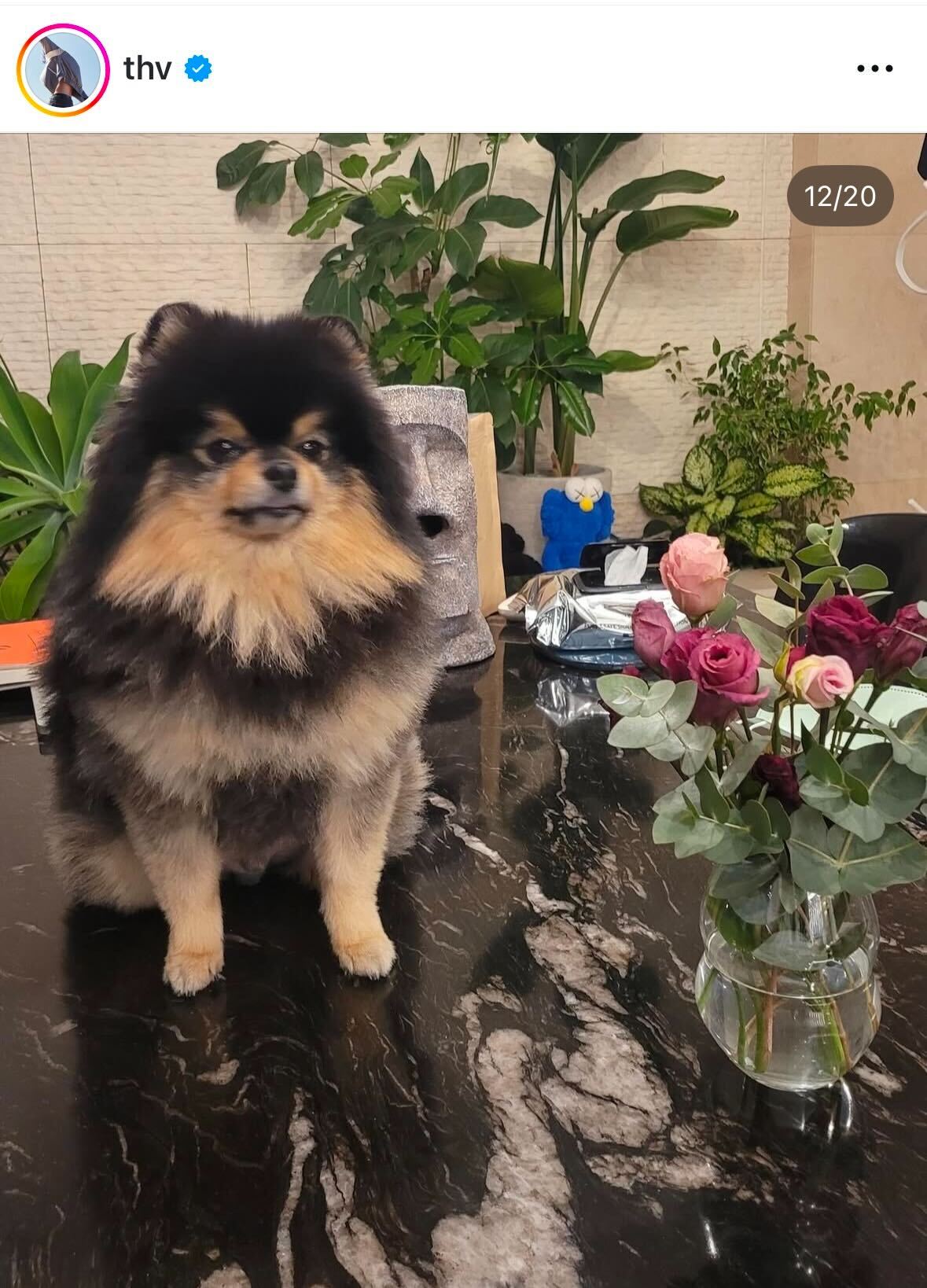 BTS・Ｖのインスタグラムから