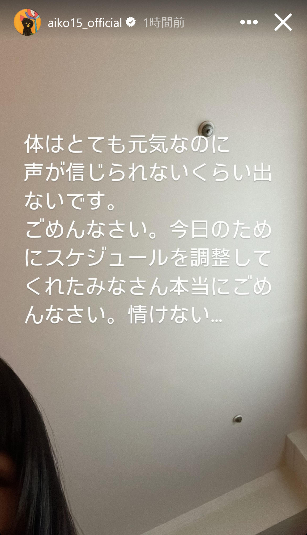 aikoのインスタグラムから