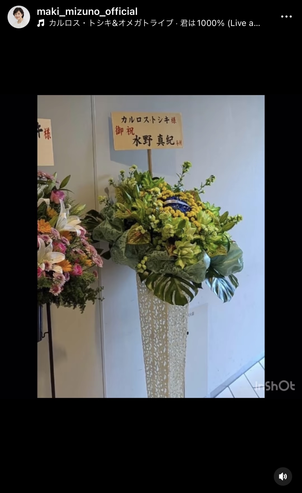 水野真紀のインスタグラムから