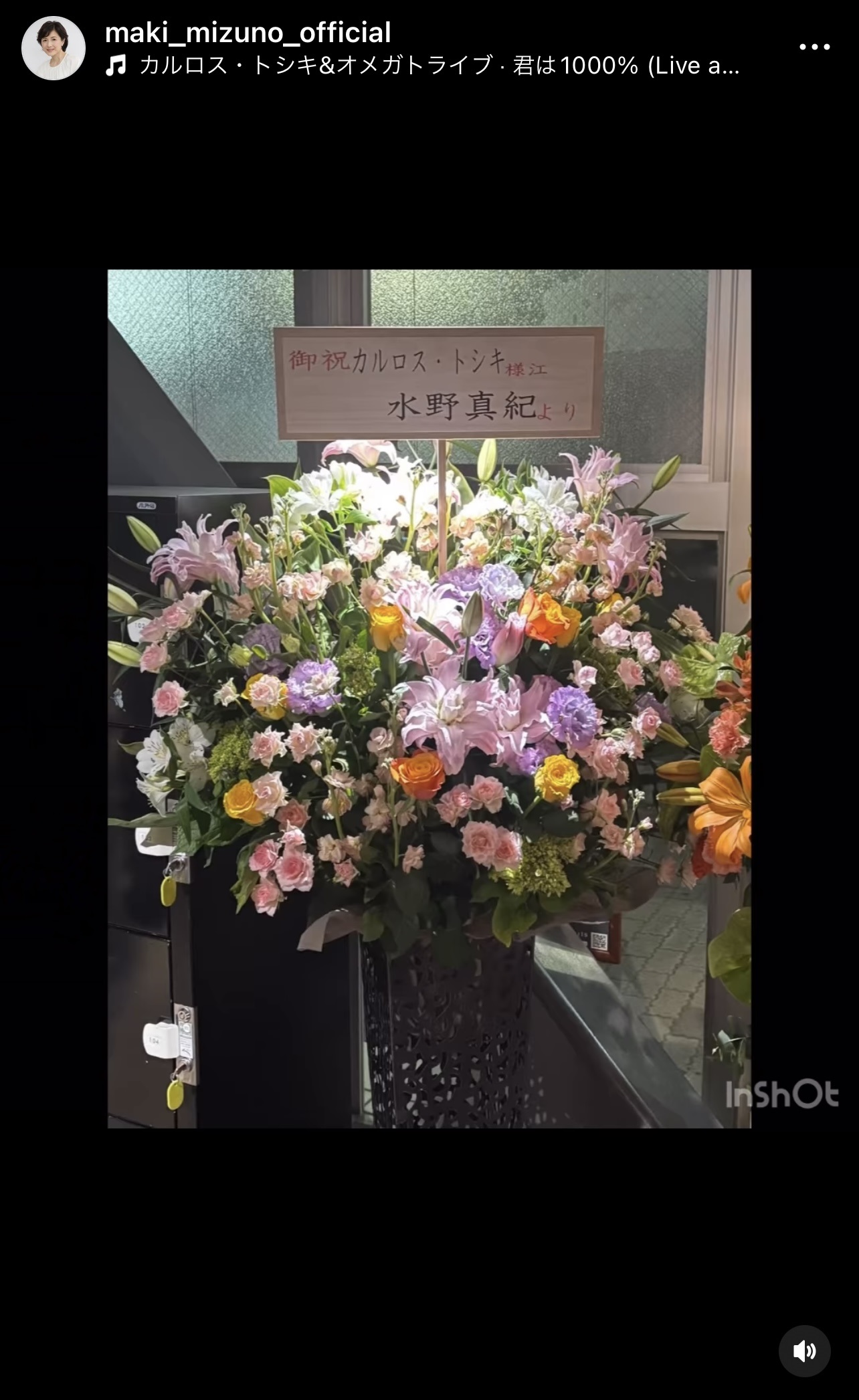水野真紀のインスタグラムから