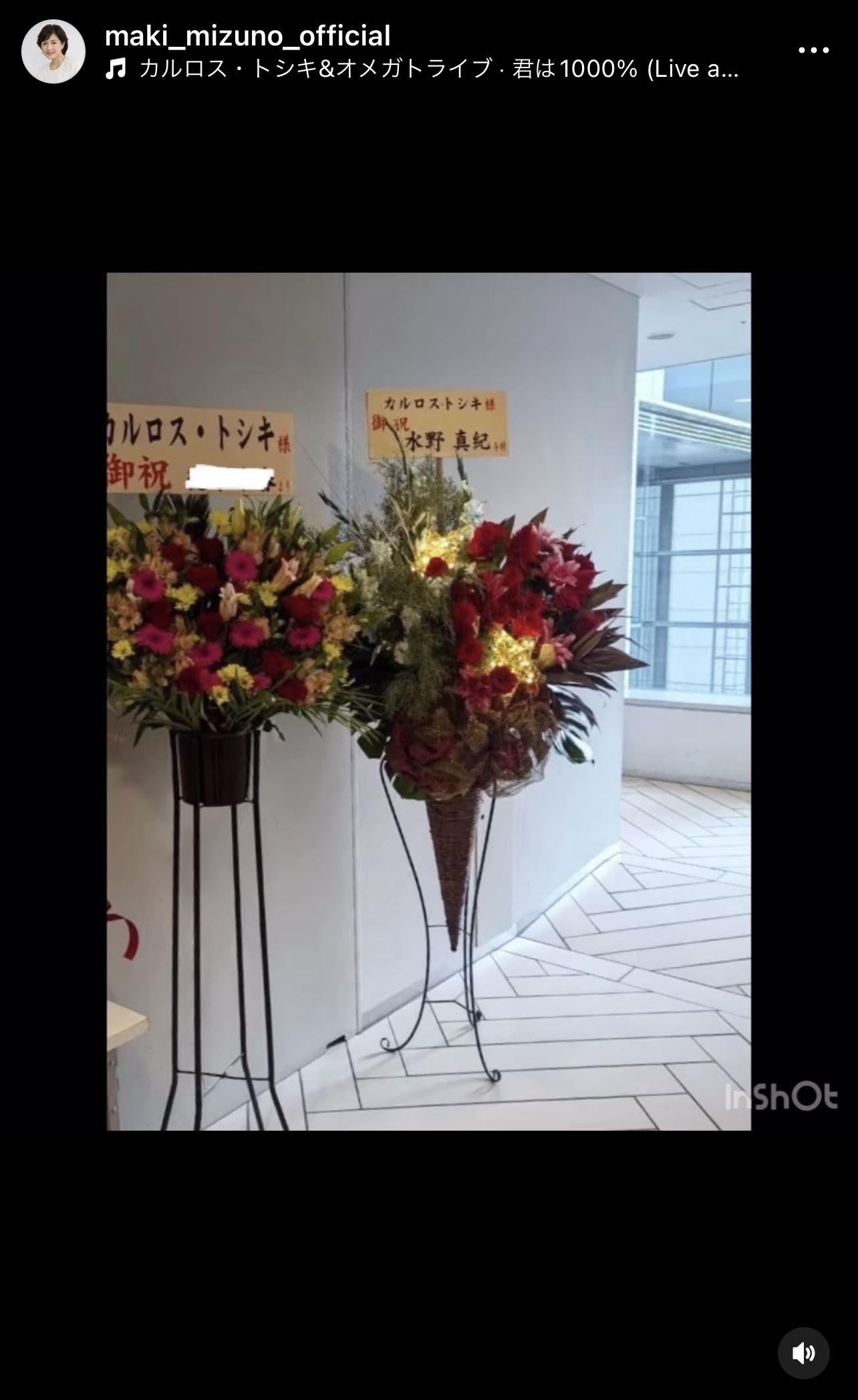 水野真紀のインスタグラムから