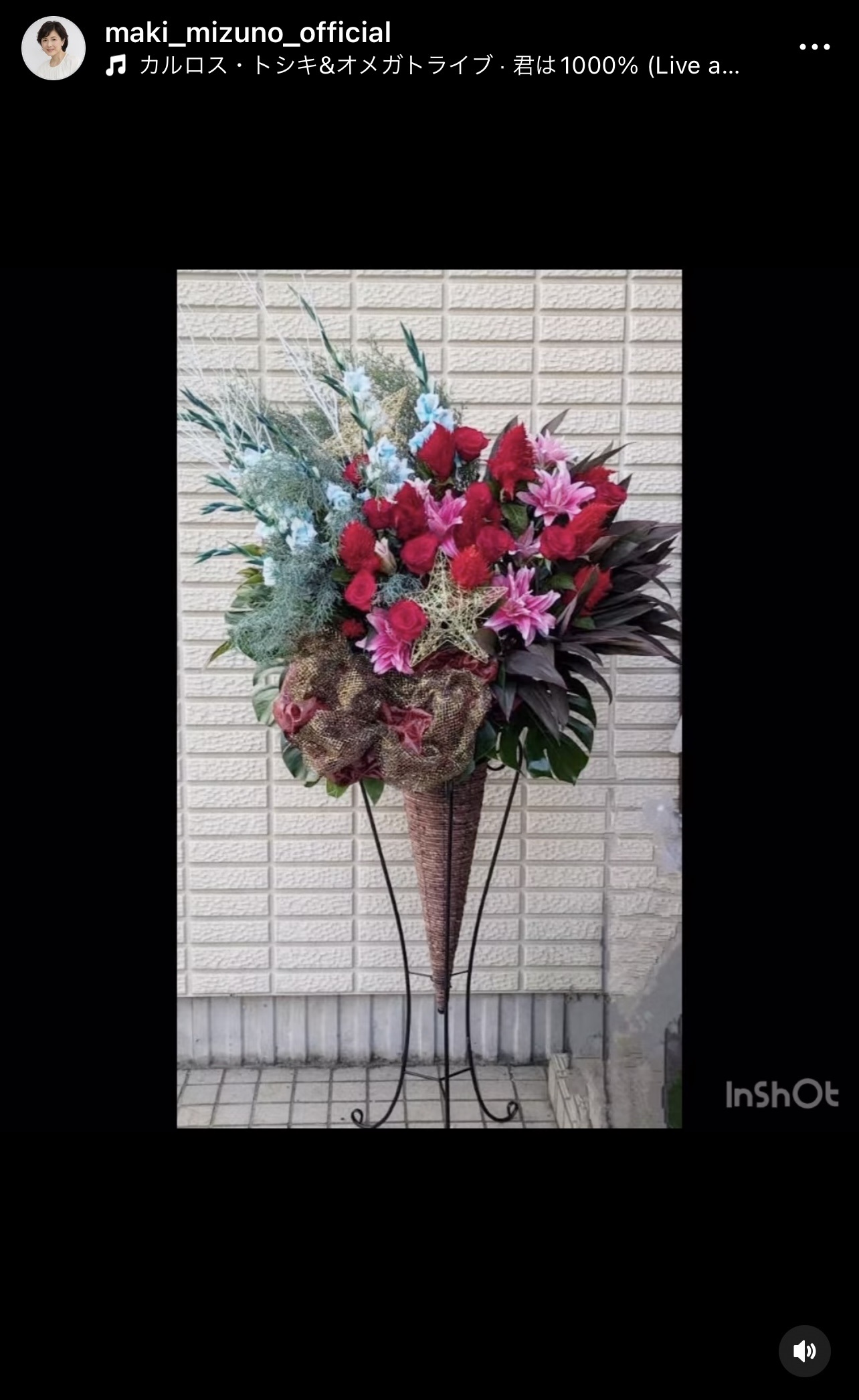 水野真紀のインスタグラムから