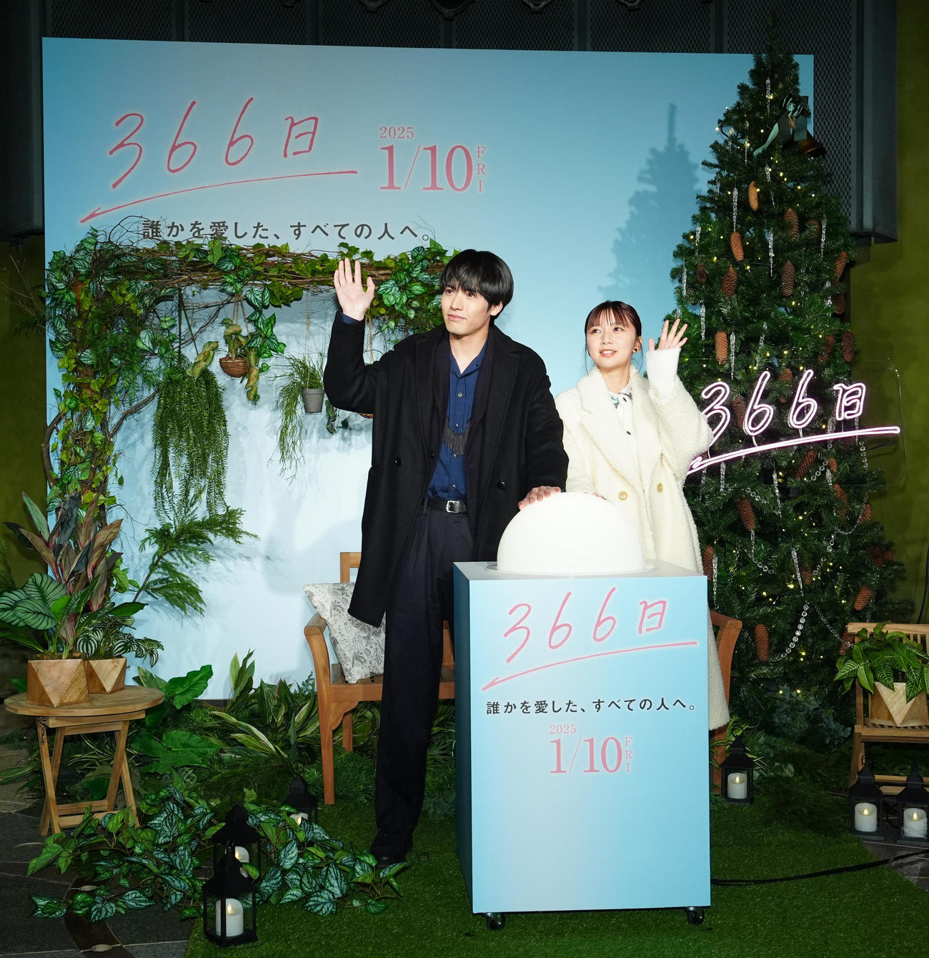 映画「366日」クリスマスツリー点灯式に臨む赤楚衛二（左）と上白石萌歌（撮影・江口和貴）