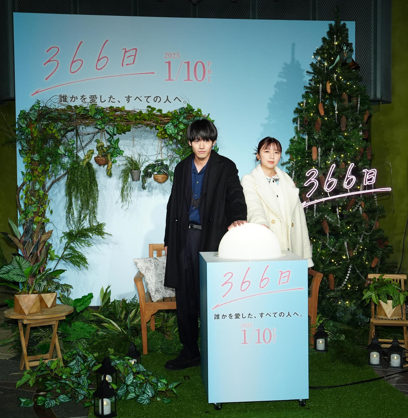 映画「366日」クリスマスツリー点灯式に臨む赤楚衛二（左）と上白石萌歌（撮影・江口和貴）