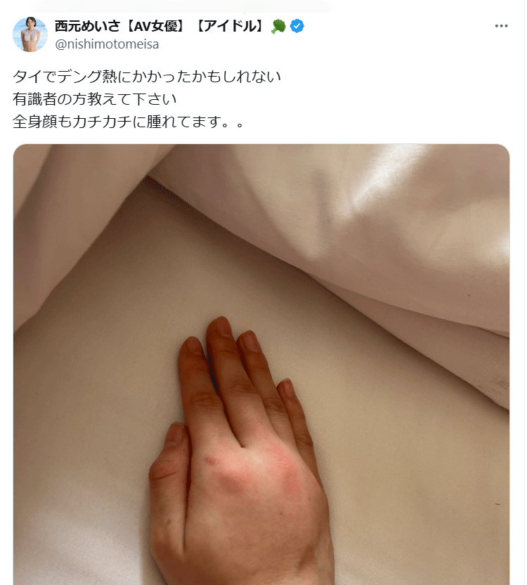 西元めいさXから