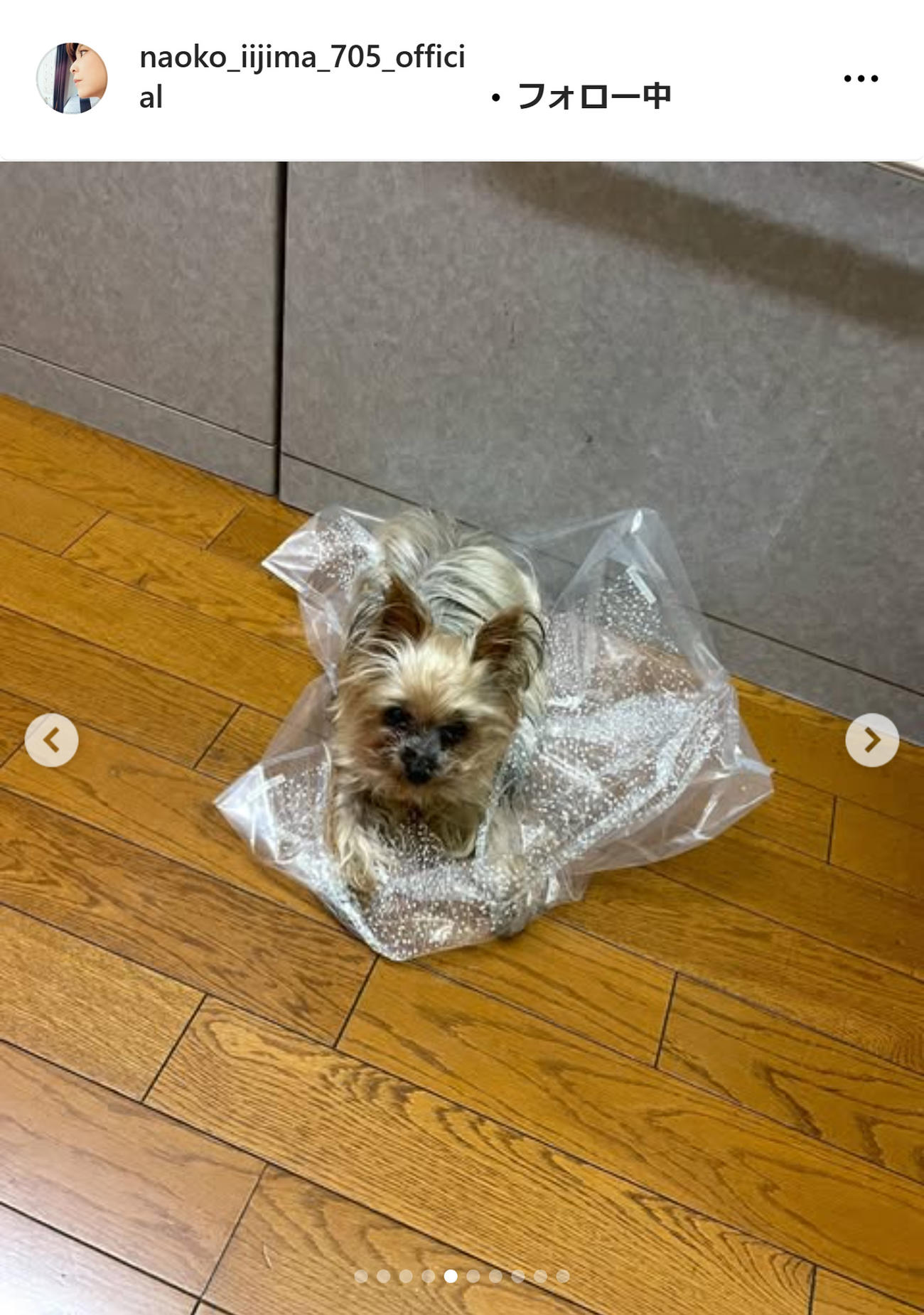 飯島直子のインスタグラムから