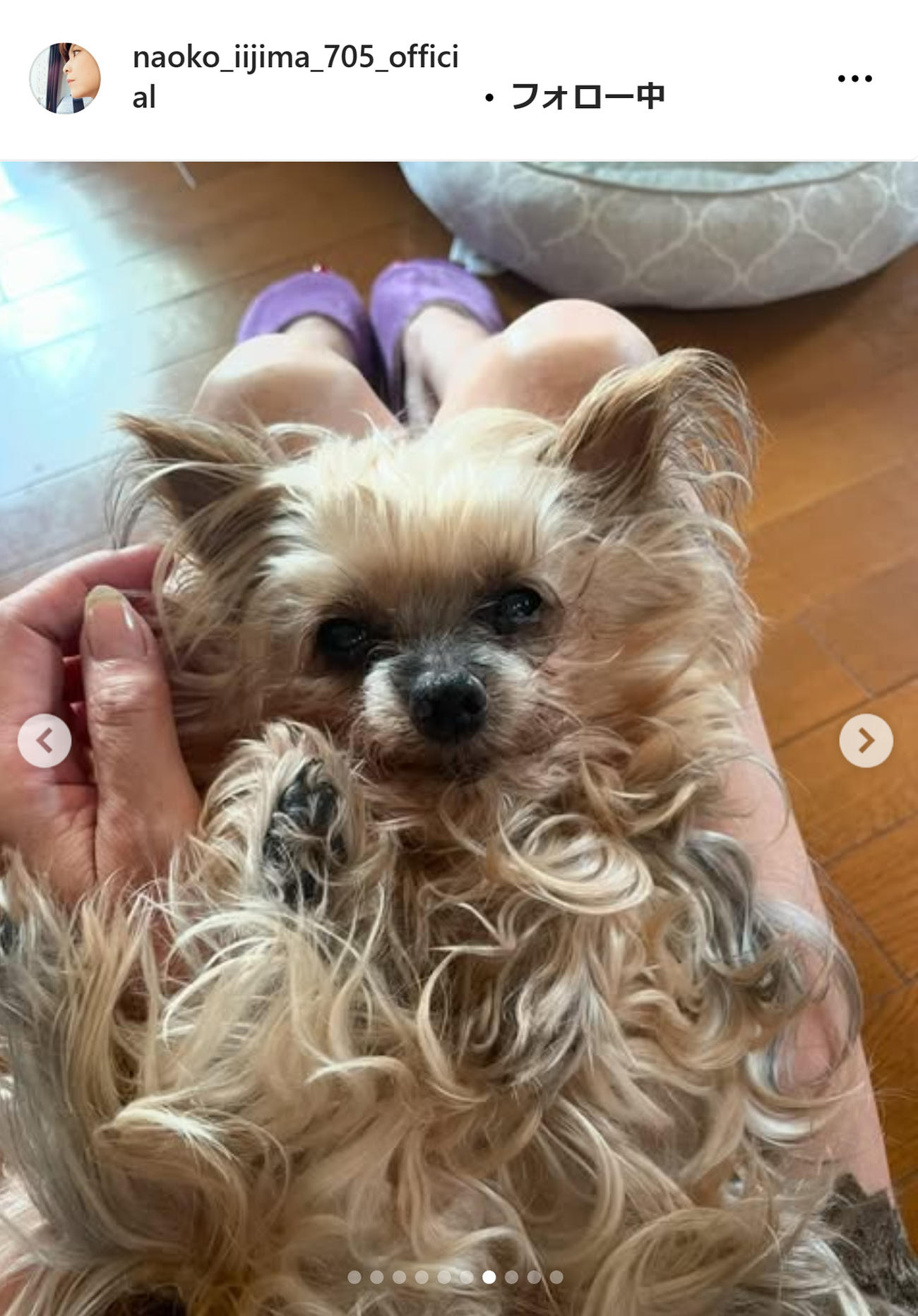 飯島直子のインスタグラムから