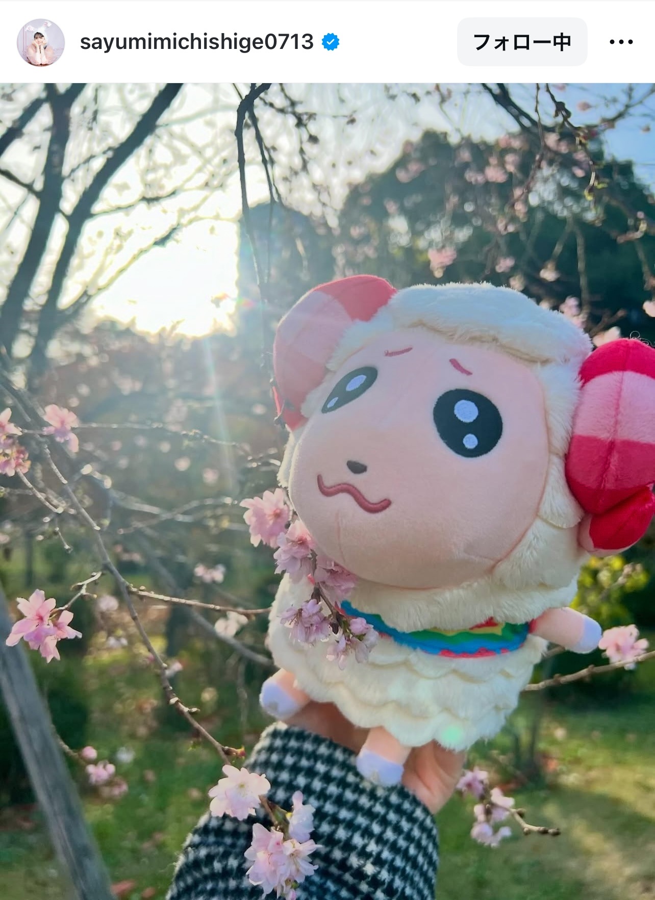 道重さゆりのインスタグラムから