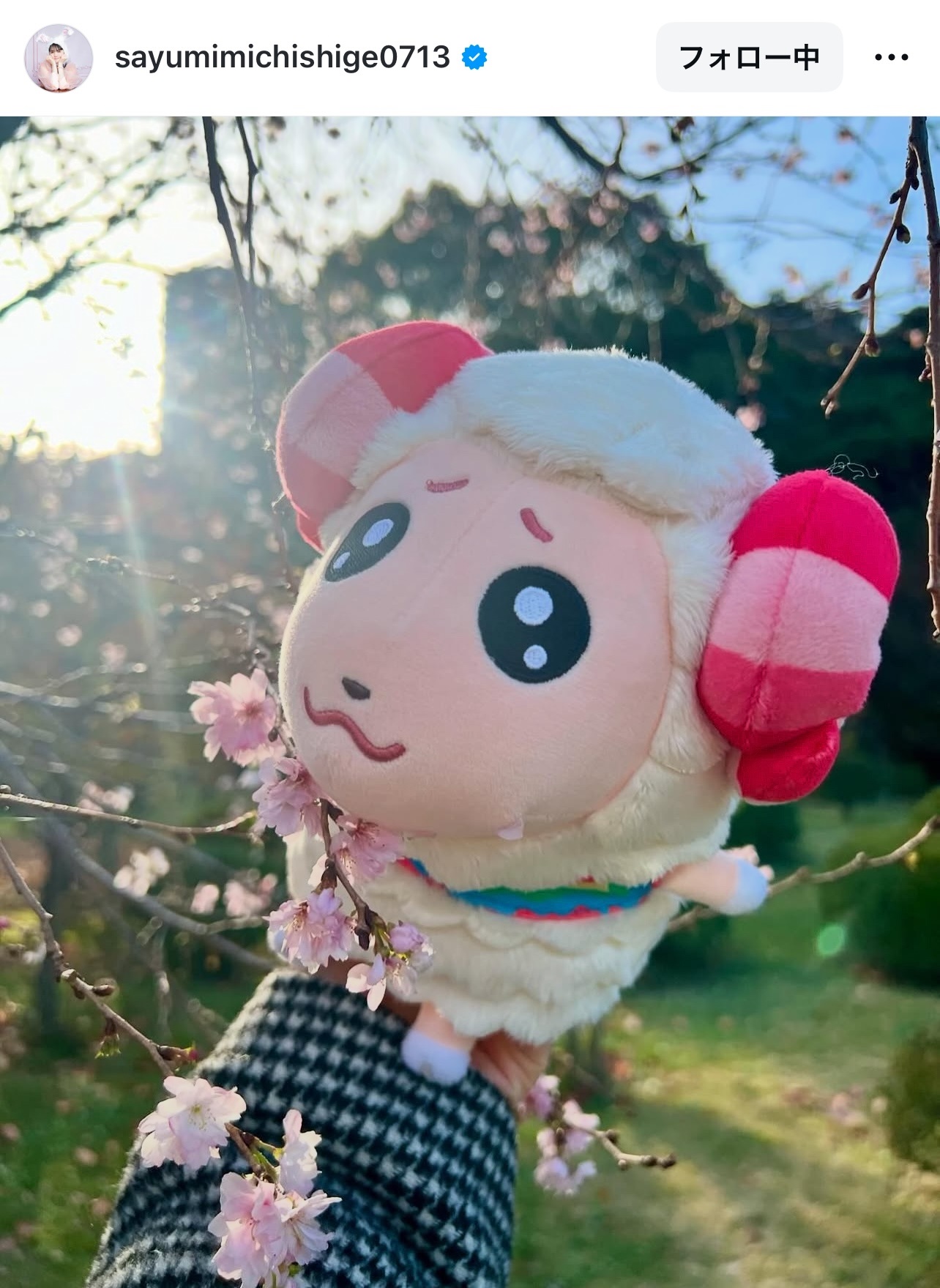 道重さゆりのインスタグラムから