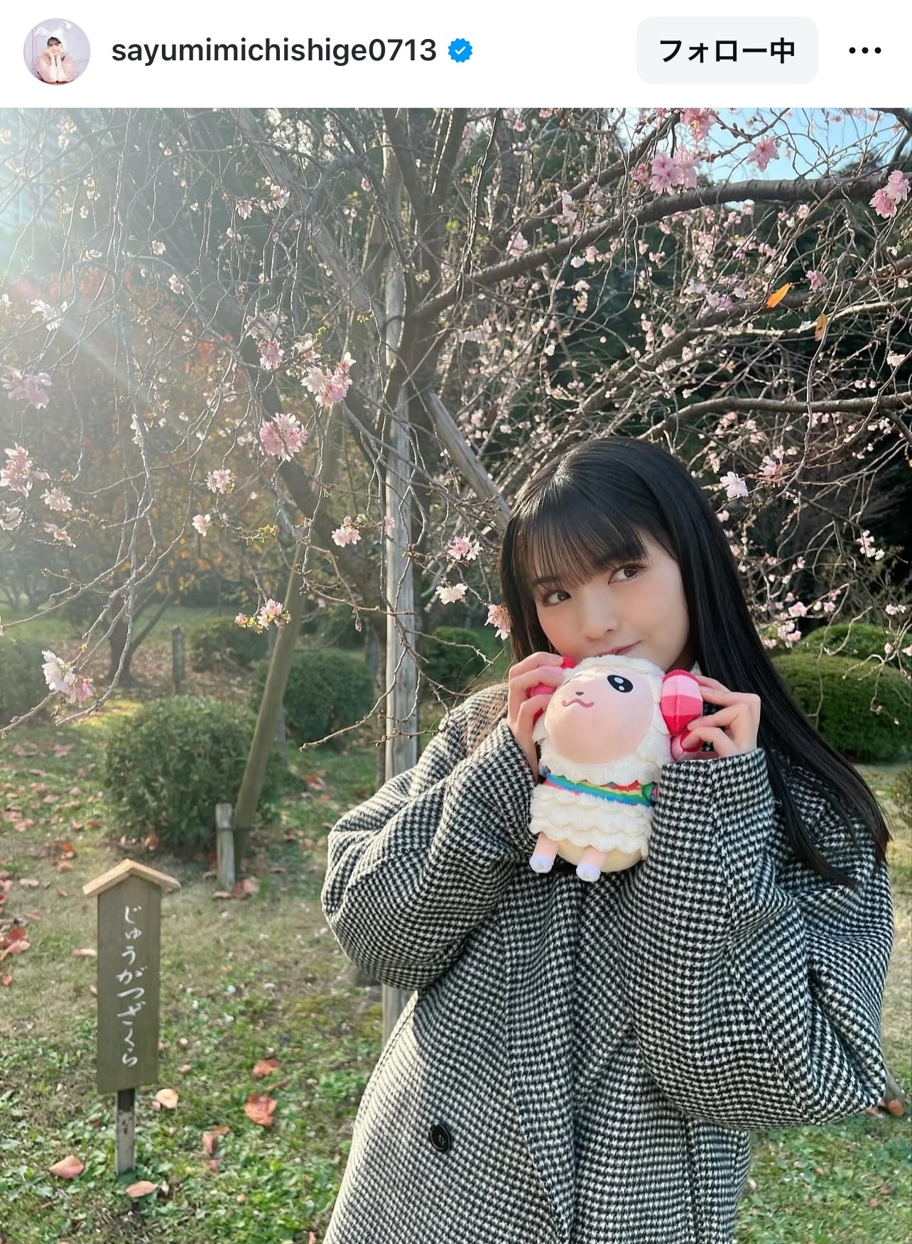 道重さゆりのインスタグラムから
