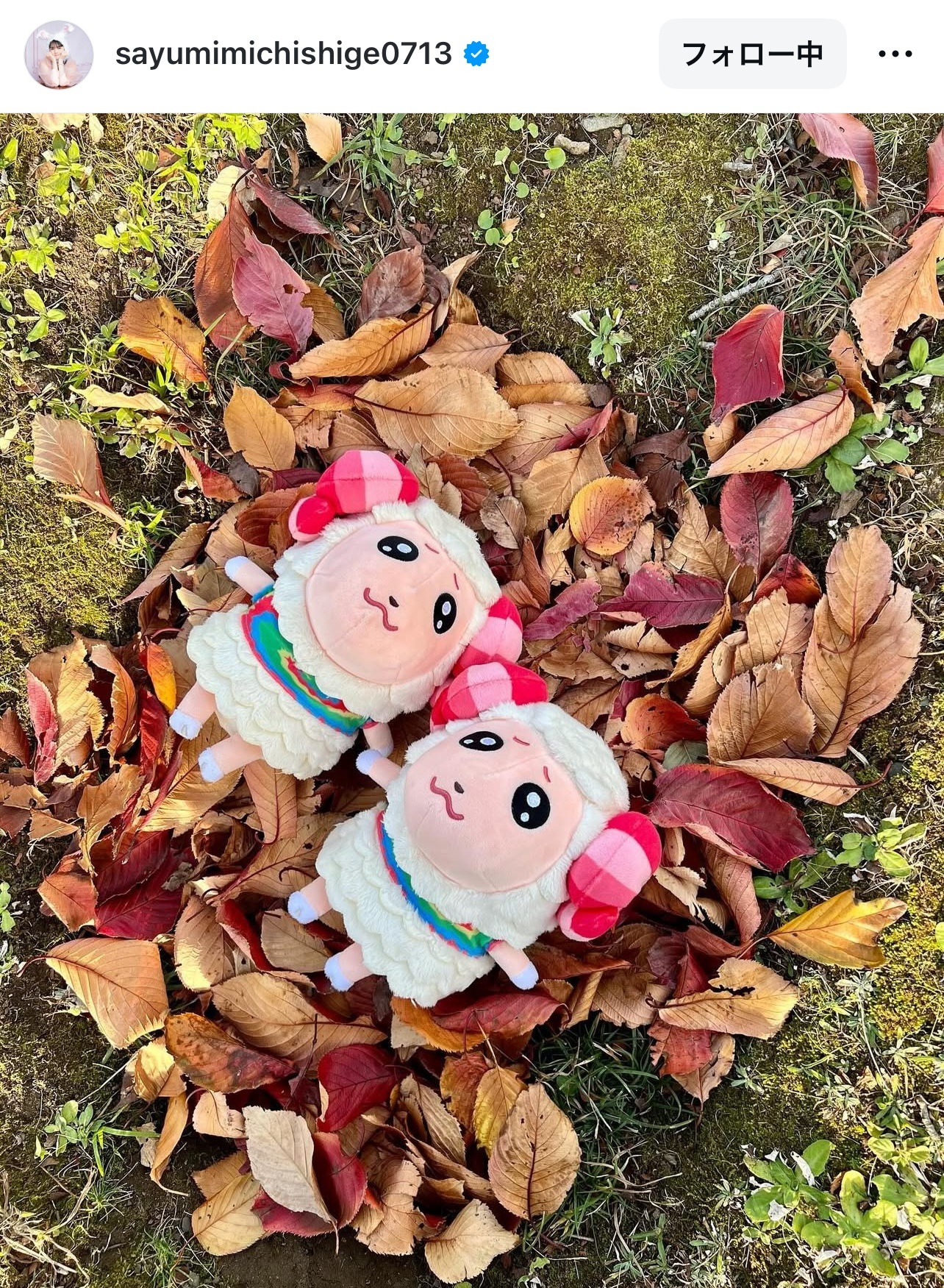 道重さゆりのインスタグラムから
