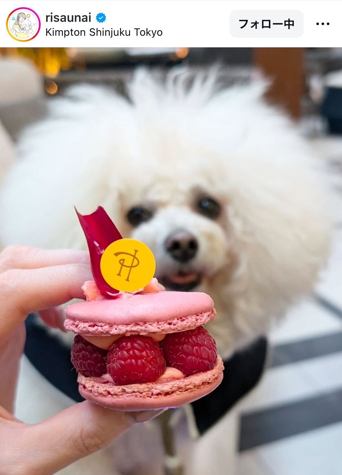 宇内梨沙アナのインスタグラムから