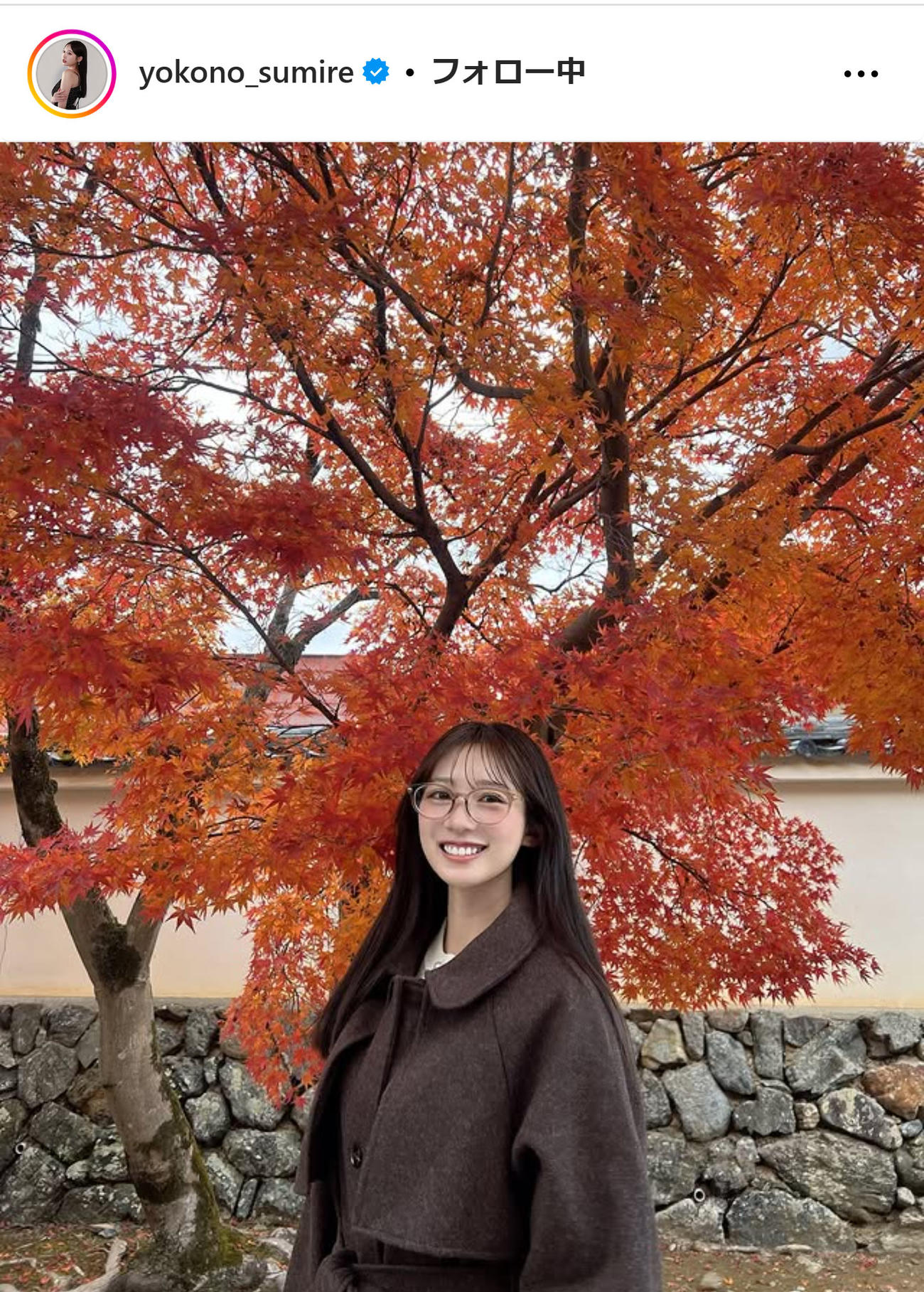横野すみれのインスタグラムから