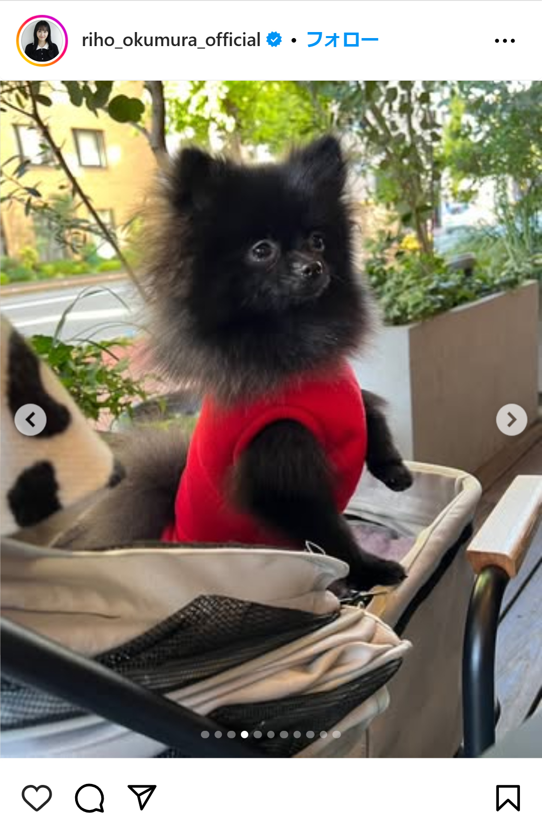 奥村梨穂のインスタグラムから