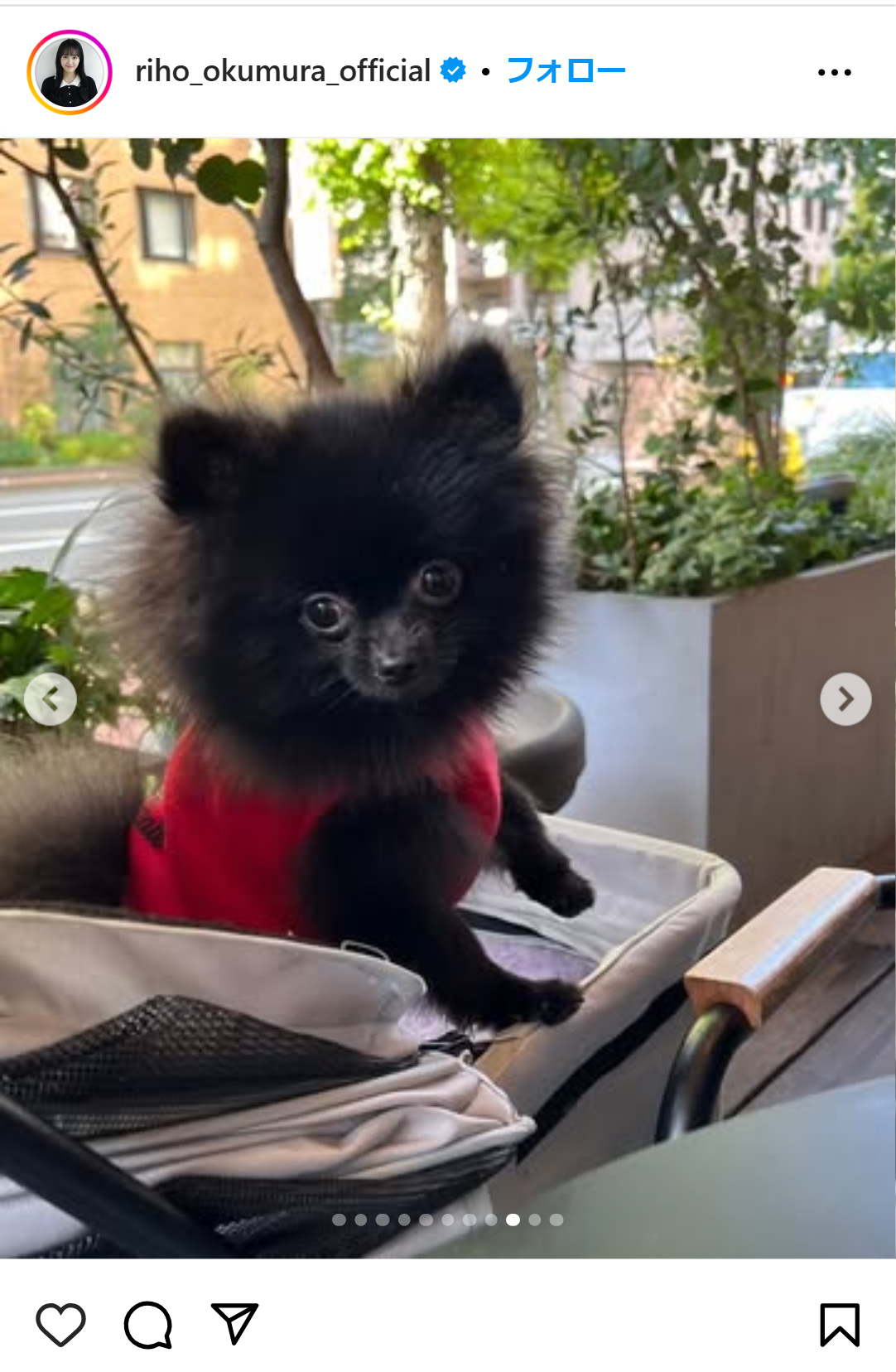 奥村梨穂のインスタグラムから