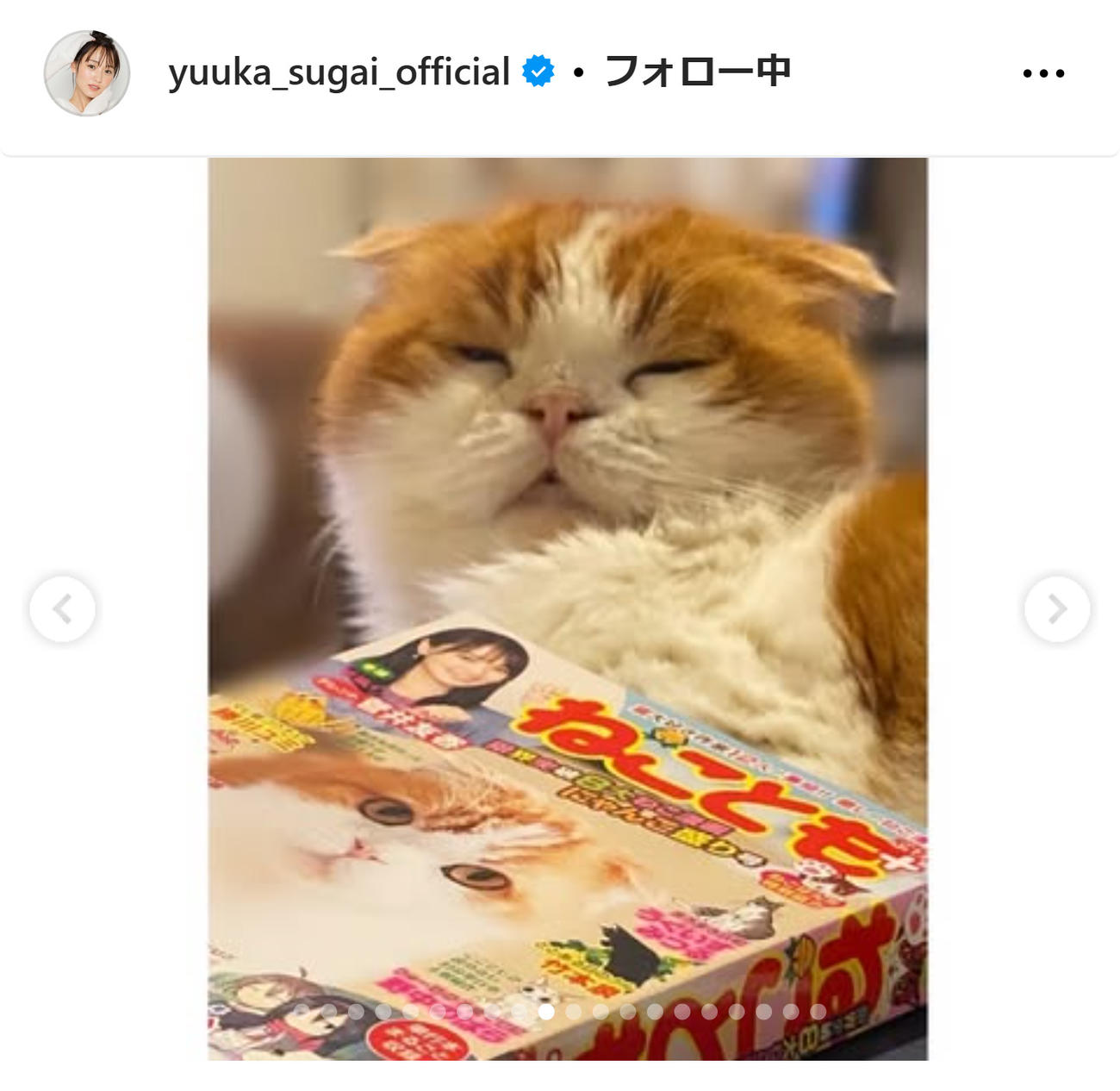 菅井友香のインスタグラムから