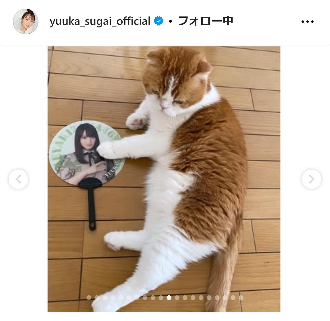 菅井友香のインスタグラムから