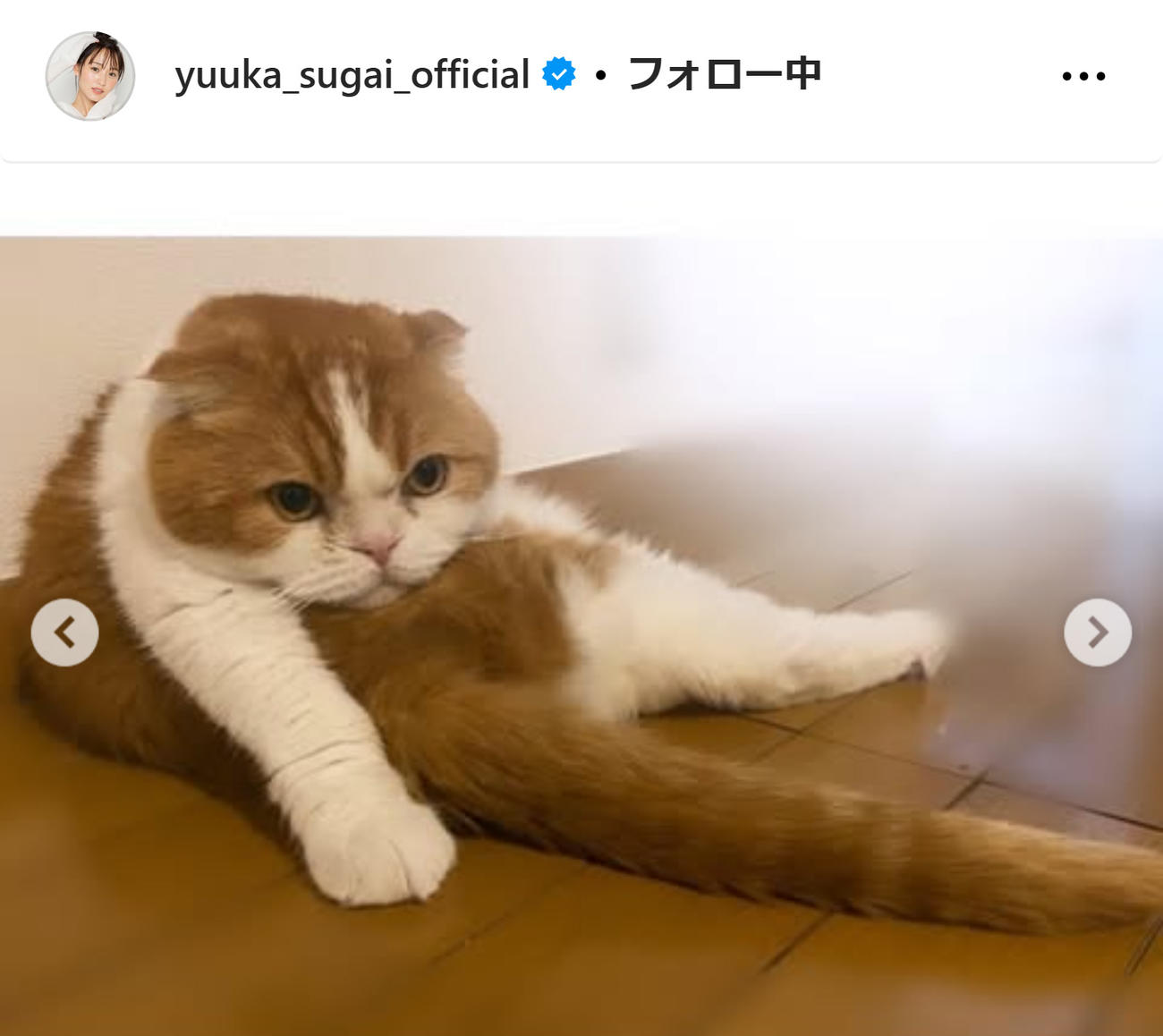 菅井友香のインスタグラムから