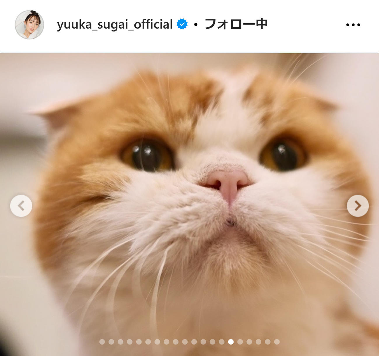 菅井友香のインスタグラムから