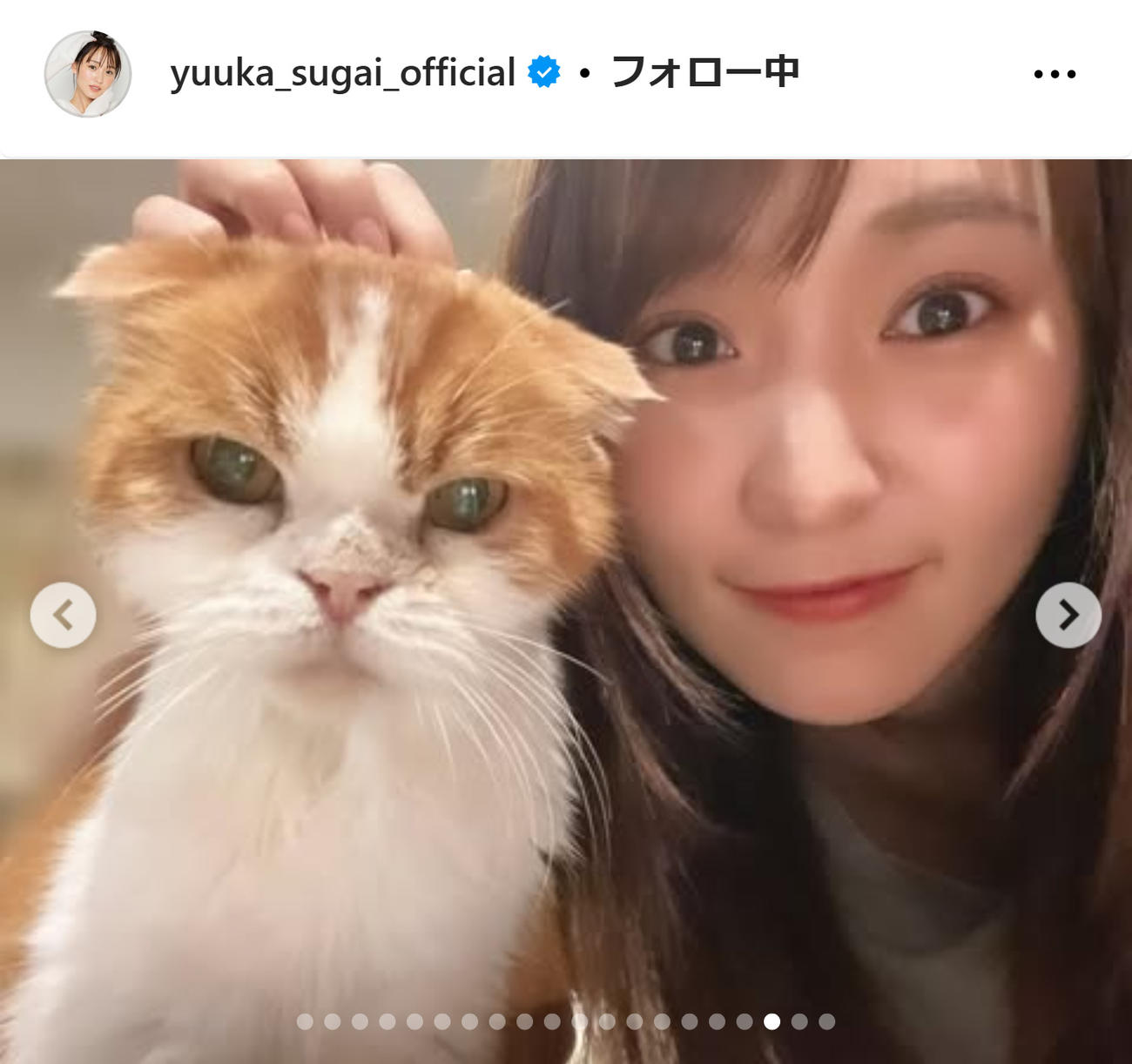 菅井友香のインスタグラムから