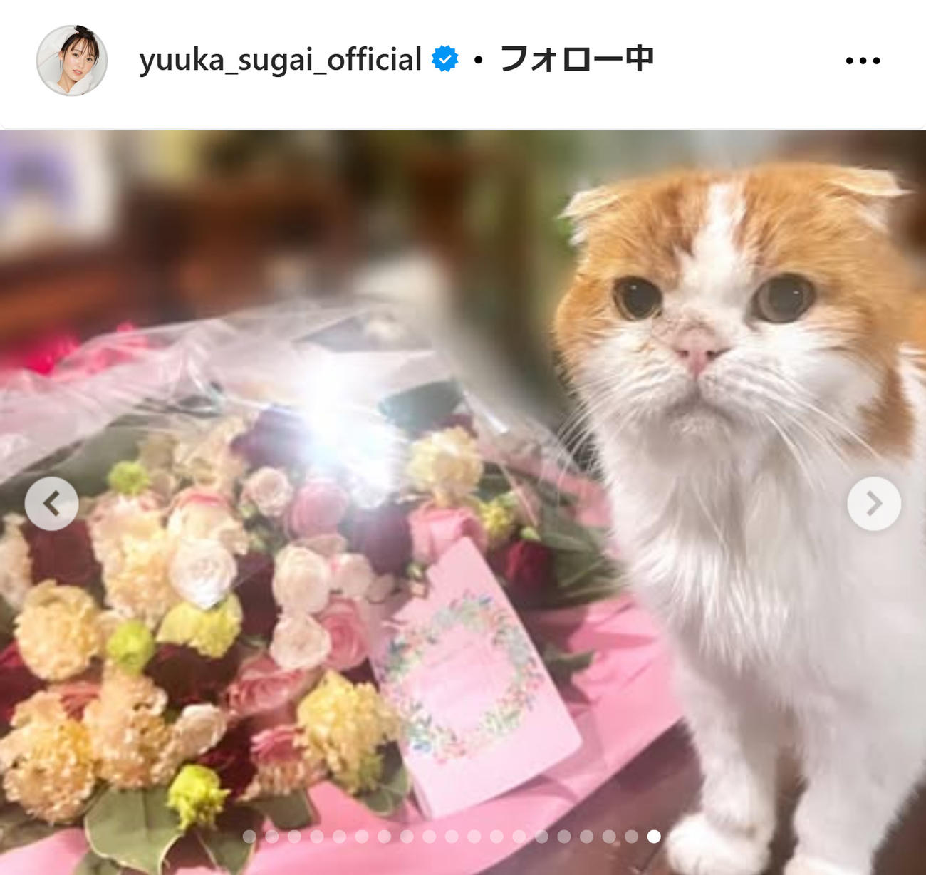 菅井友香のインスタグラムから