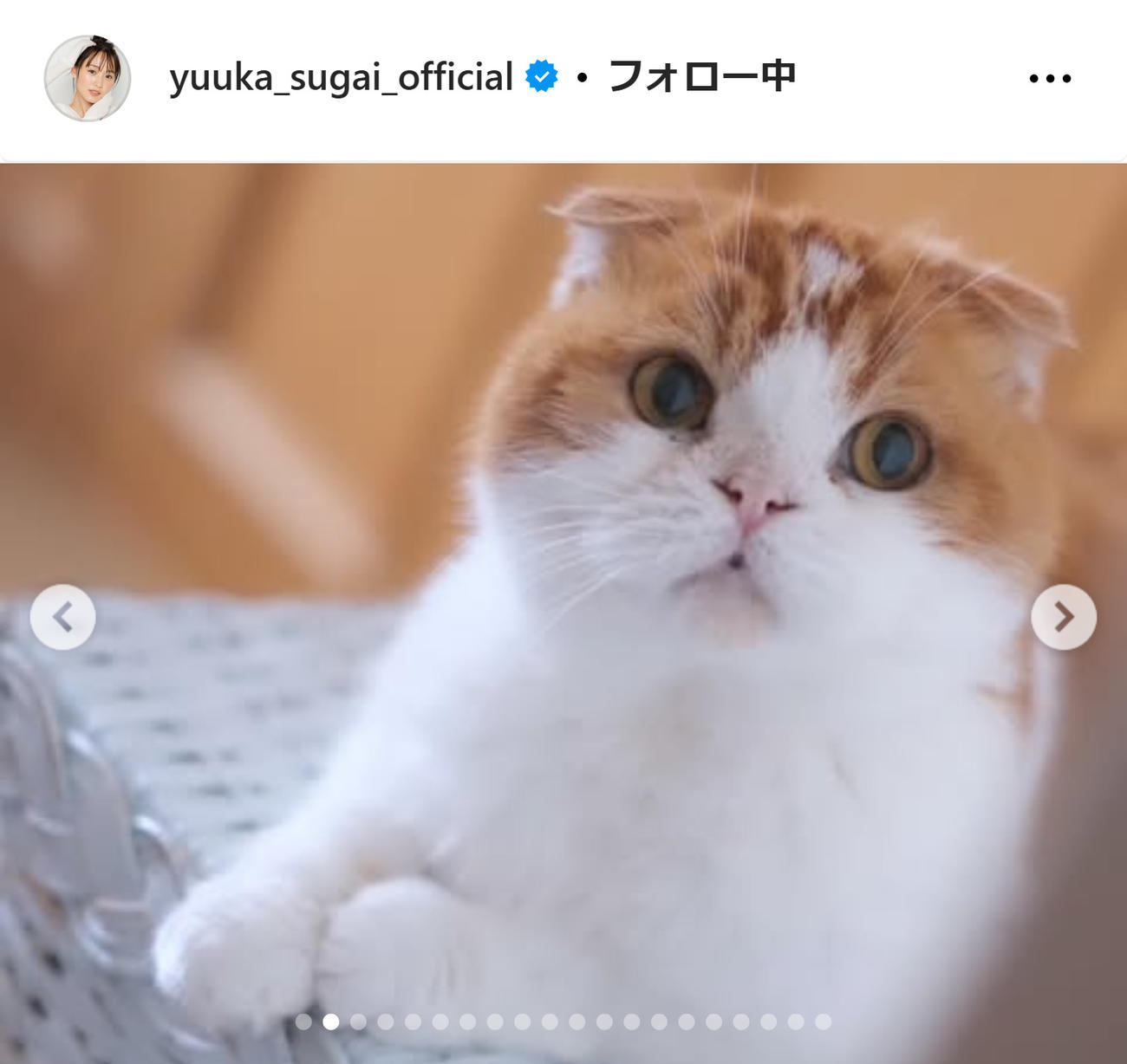 菅井友香のインスタグラムから