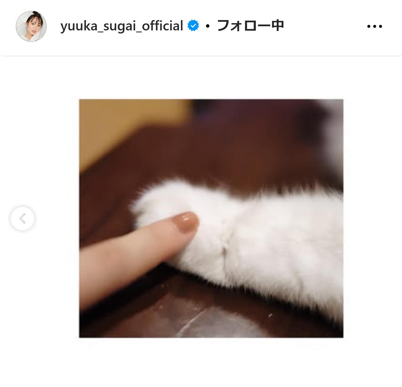 菅井友香のインスタグラムから