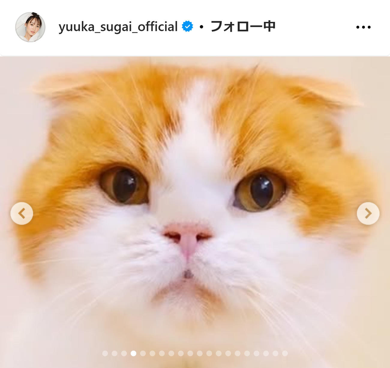菅井友香のインスタグラムから