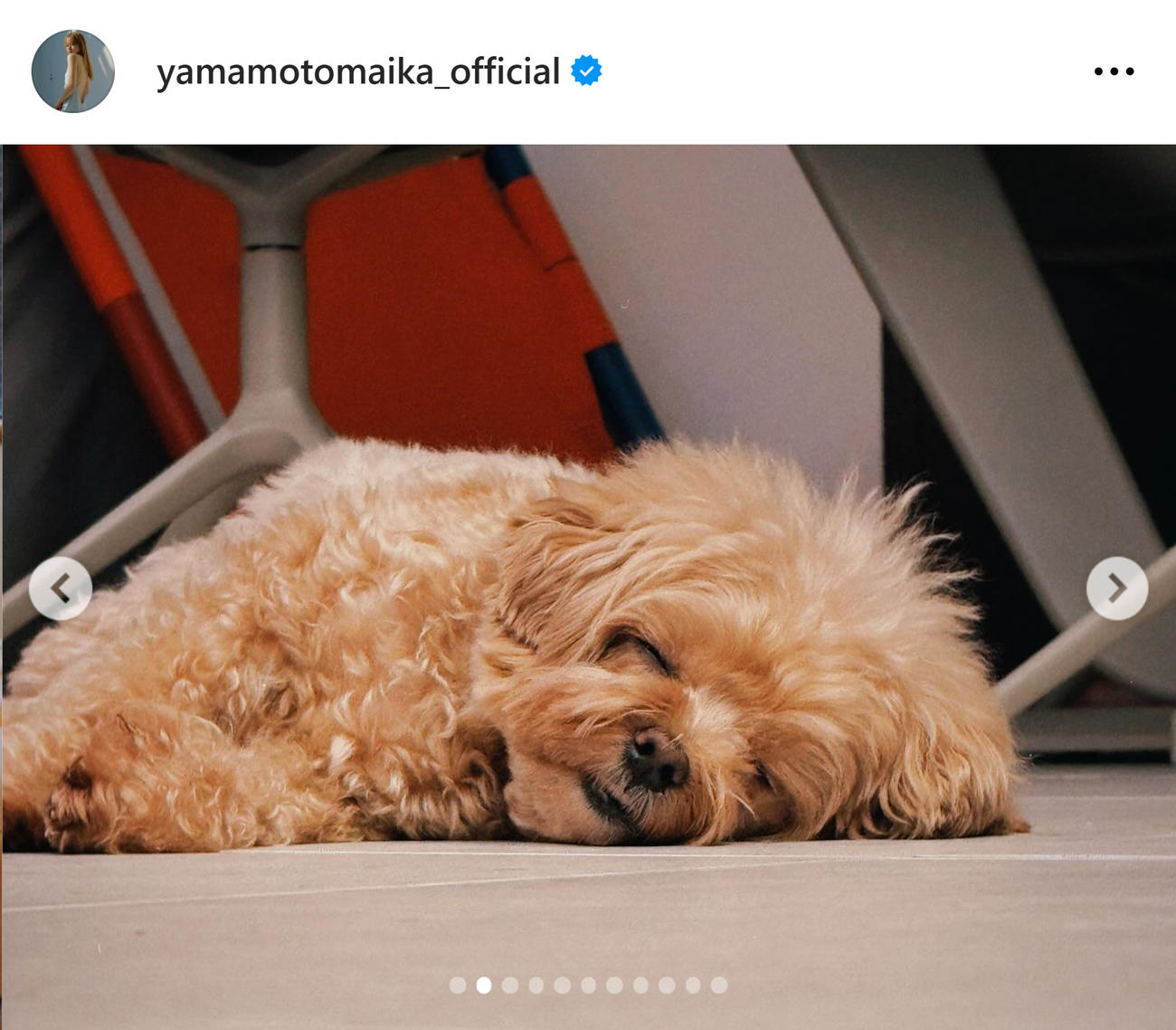  山本舞香のインスタグラムから