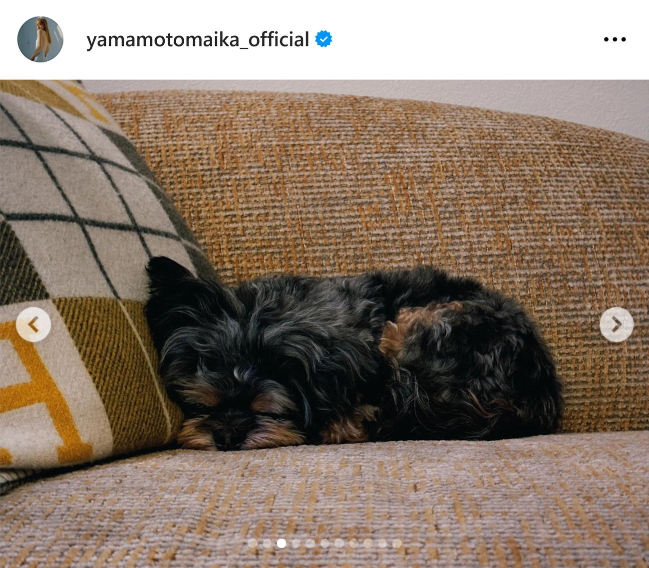  山本舞香のインスタグラムから