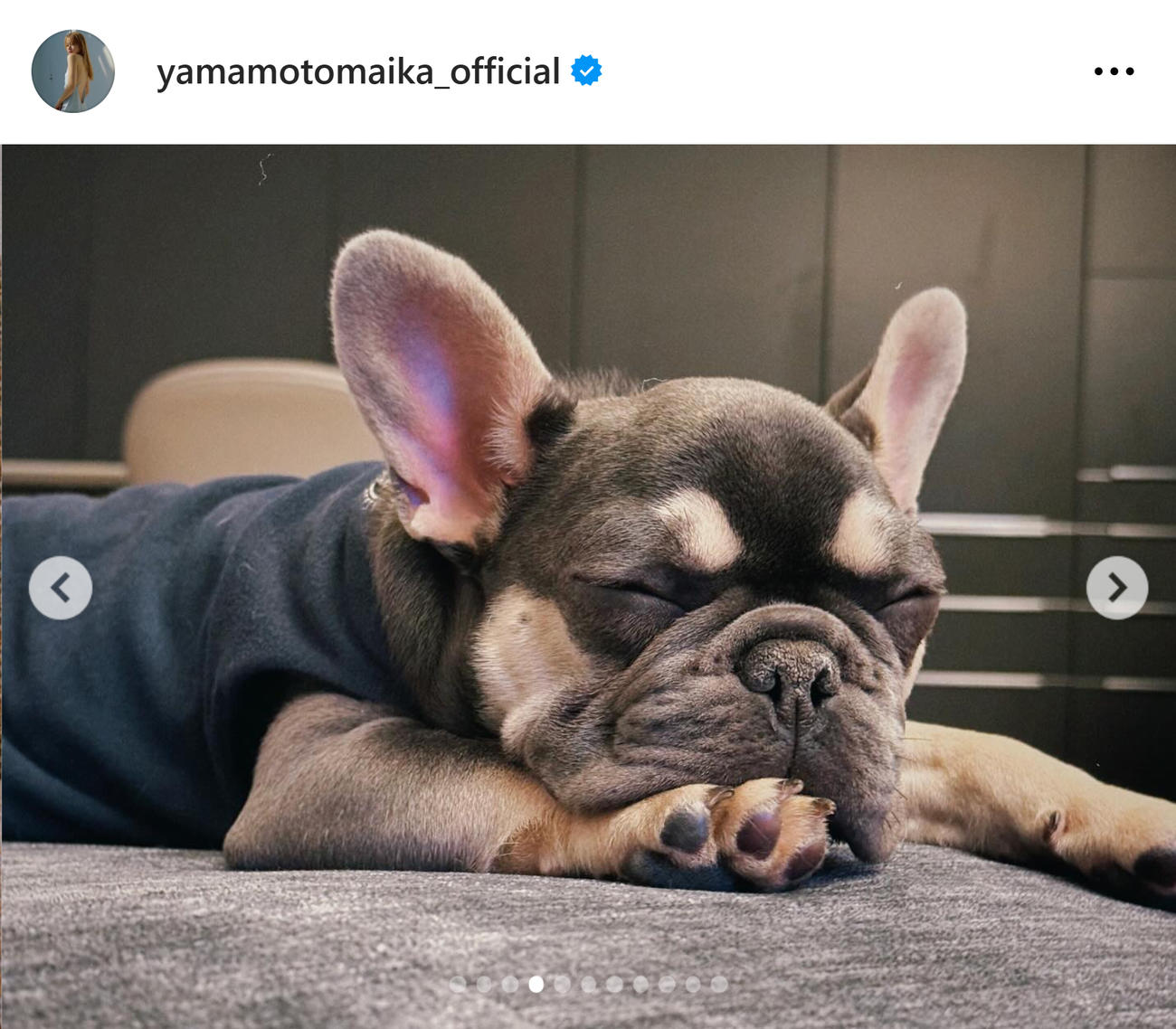  山本舞香のインスタグラムから