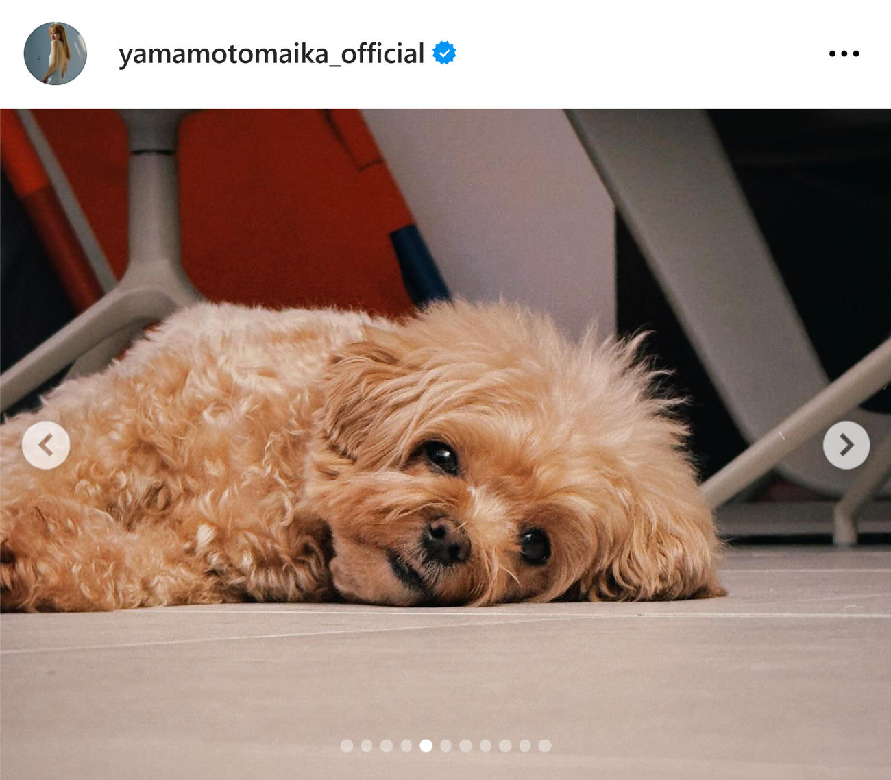  山本舞香のインスタグラムから